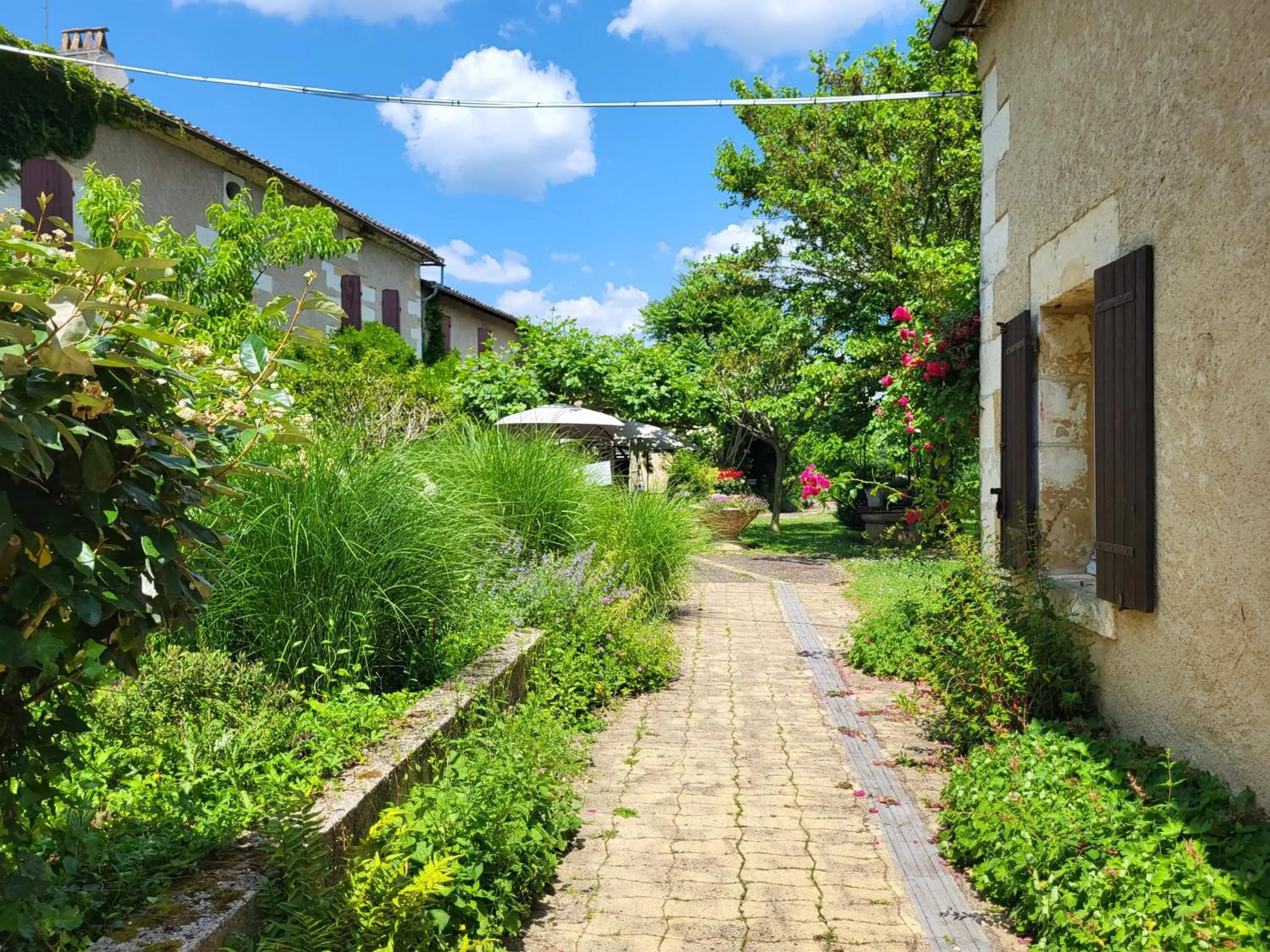 Garden in Hôtel La Flambée