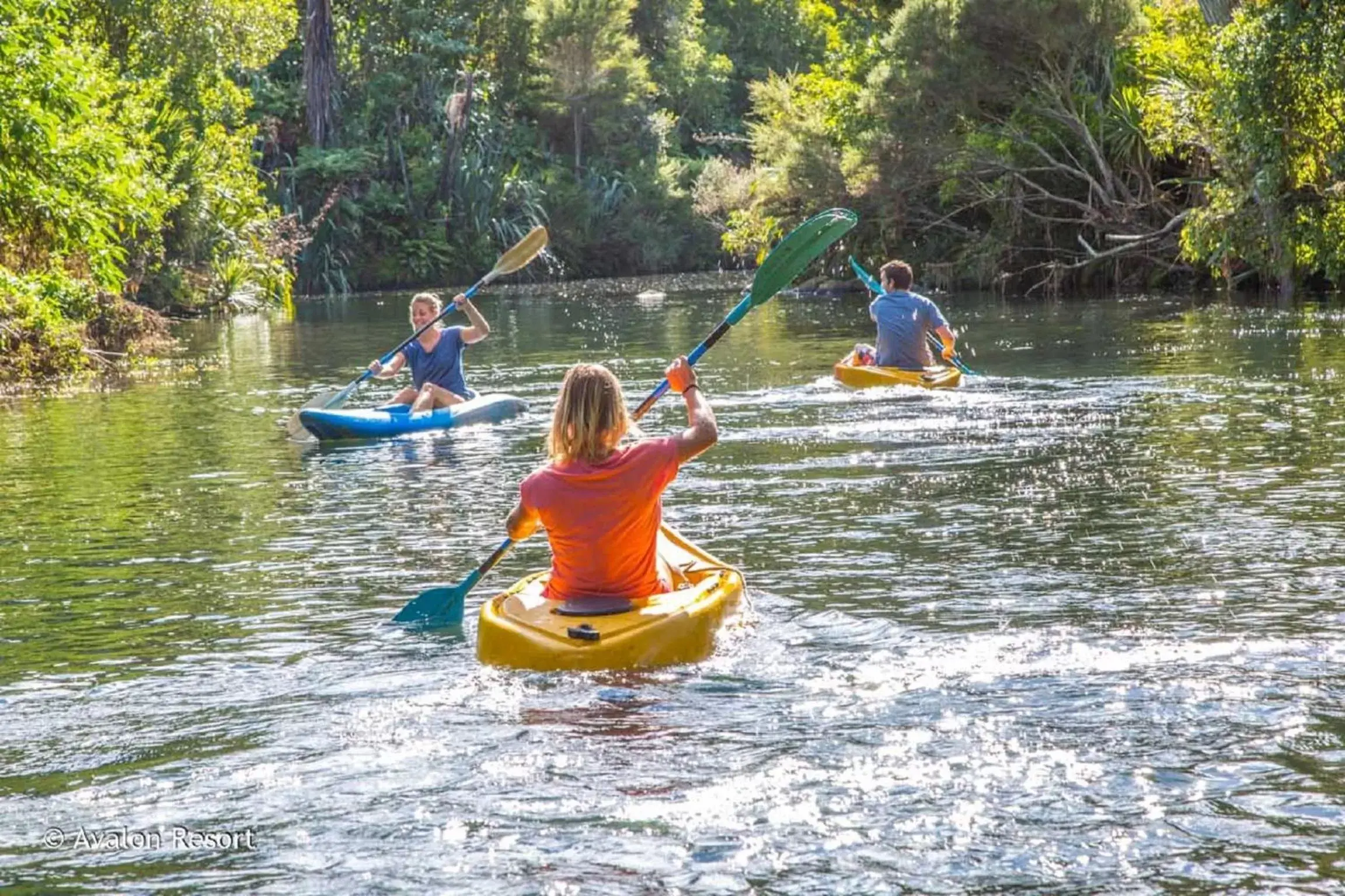 Fishing, Canoeing in Avalon Resort