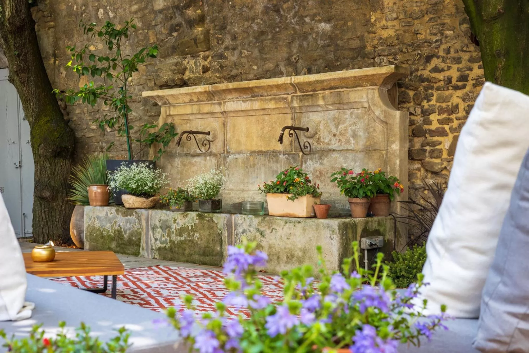 Garden in Le Clos Violette et Le 11 D'Aglaé - Hôtel de Charme Design de Luxe