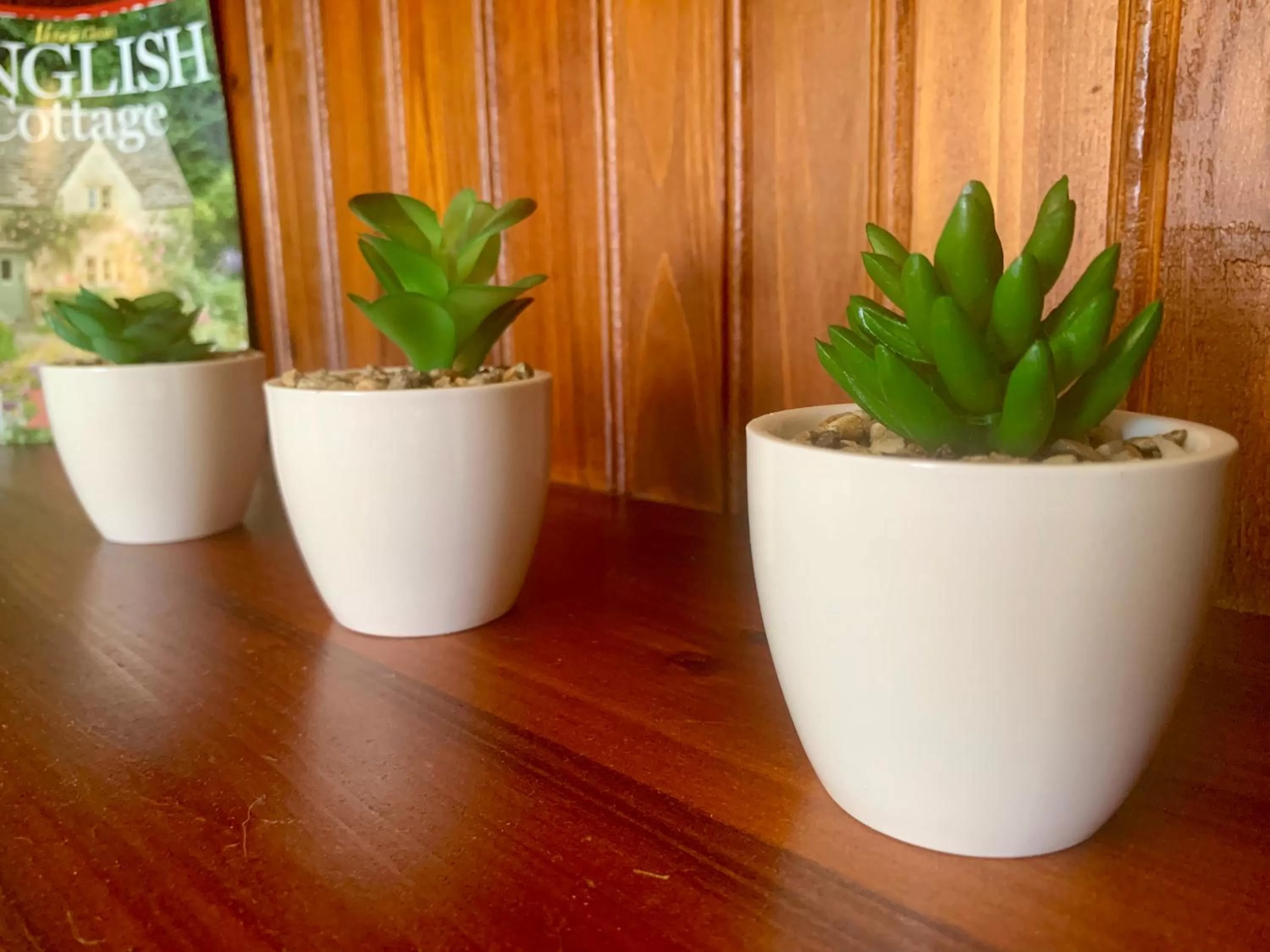 Decorative detail in Karamana Homestead (1872)