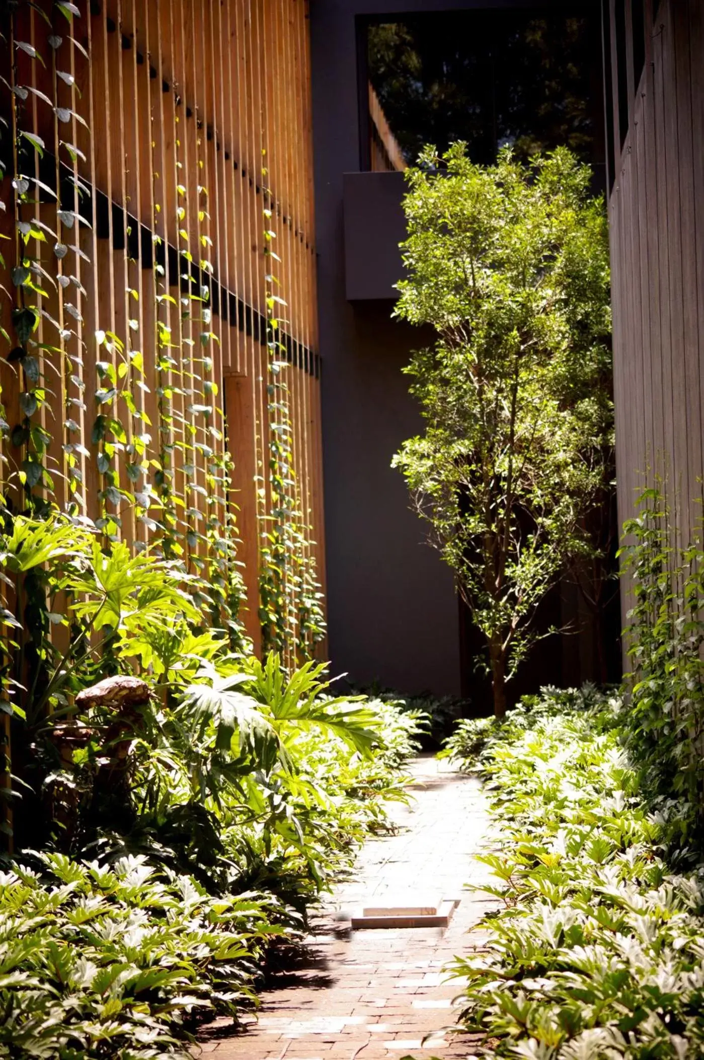 Garden view in Cinco Rodavento Garden view in Cinco Rodavento
