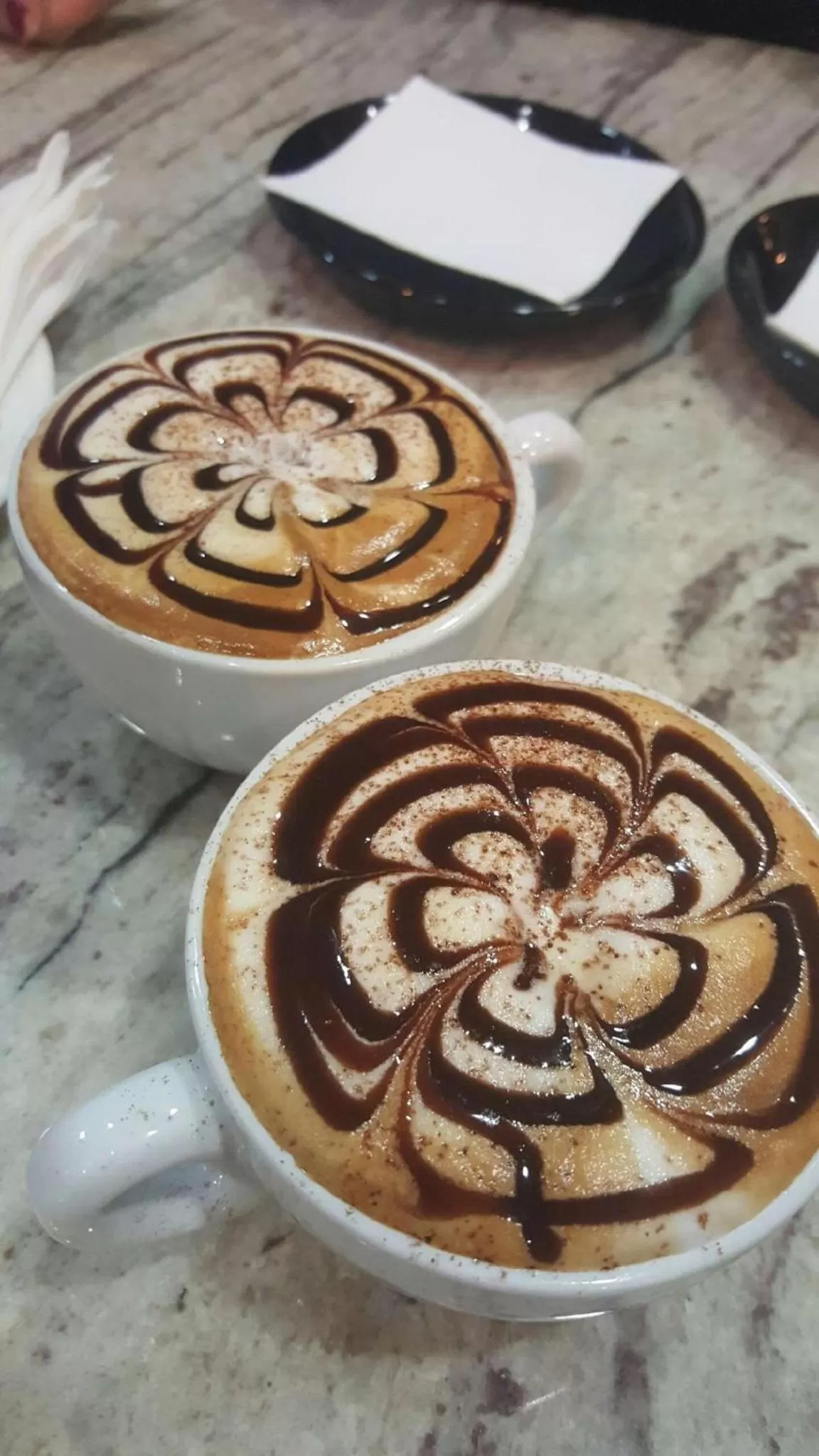 Food and drinks in Royal Albert Hotel