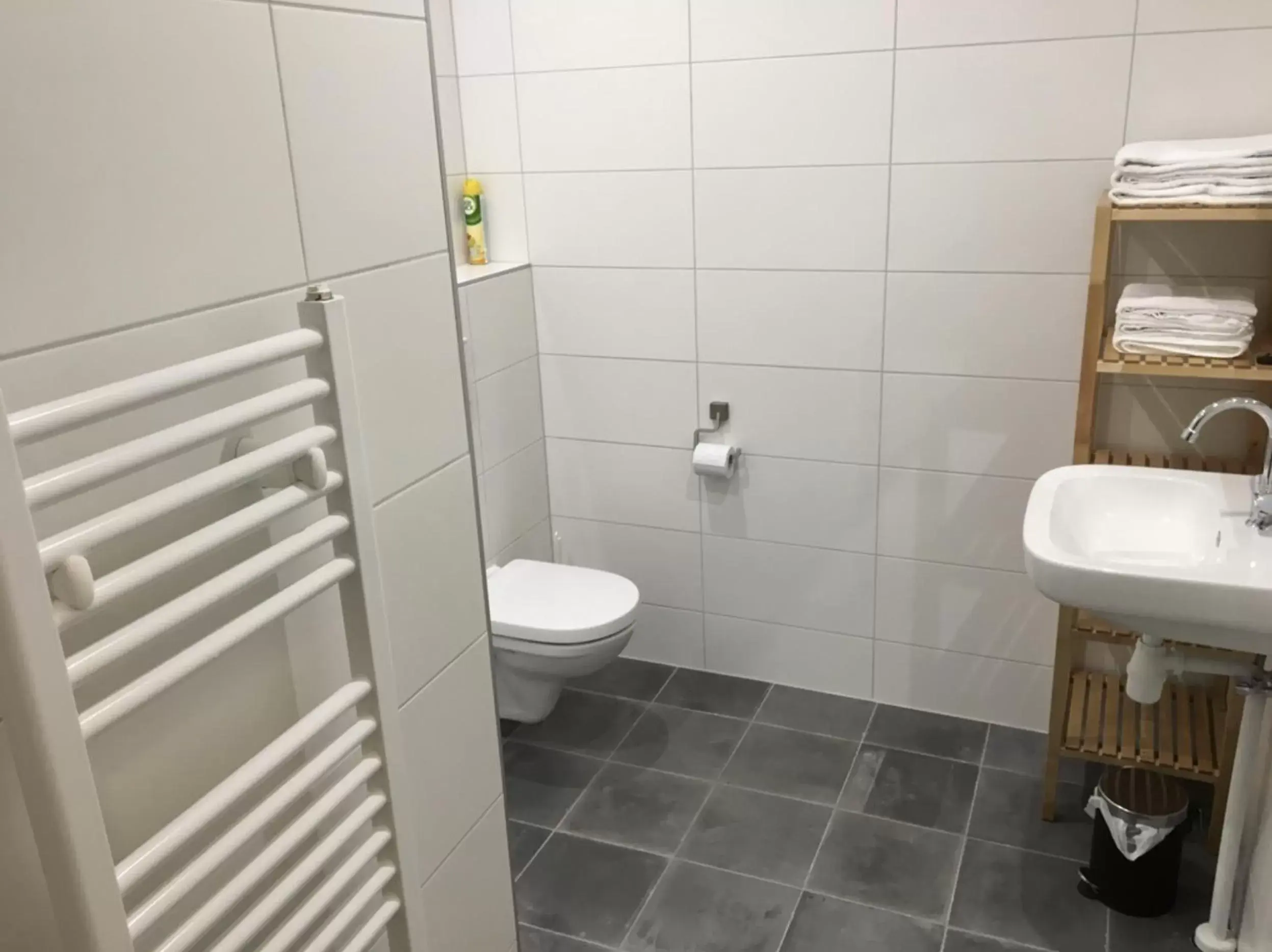 Bathroom in B&B Oostzomerland