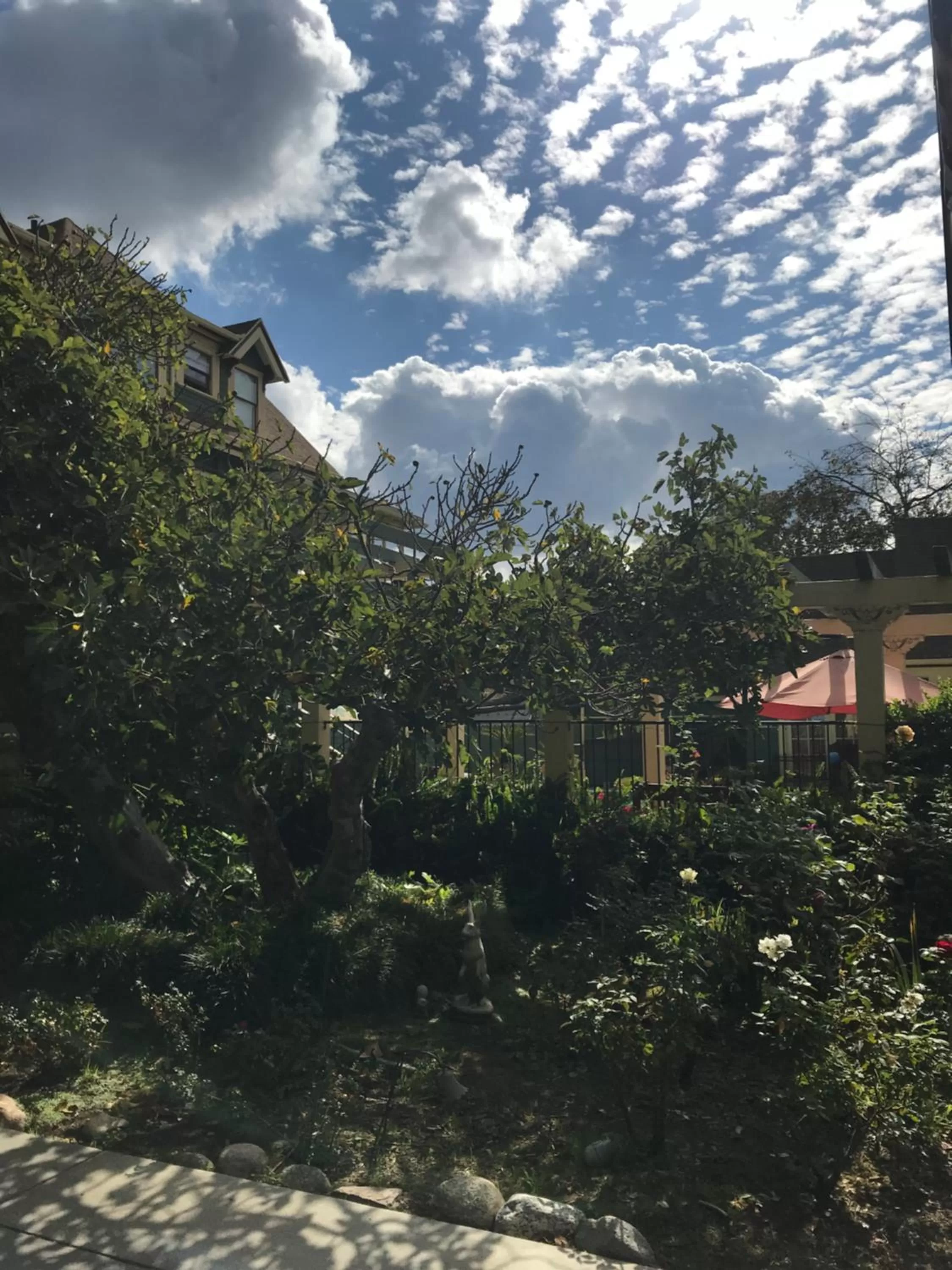 Garden in The Bissell House Bed & Breakfast