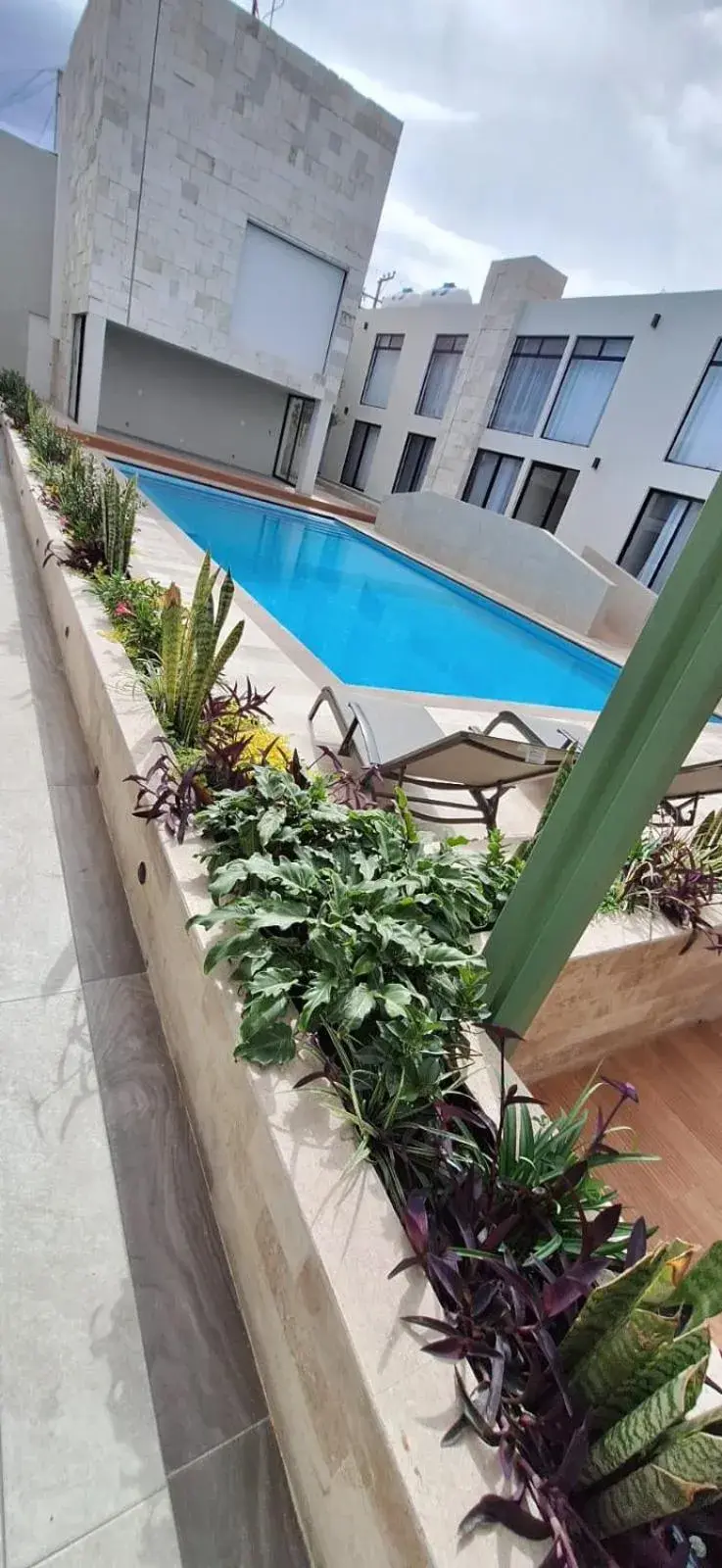 Pool View in La Posada Hotel y Suites
