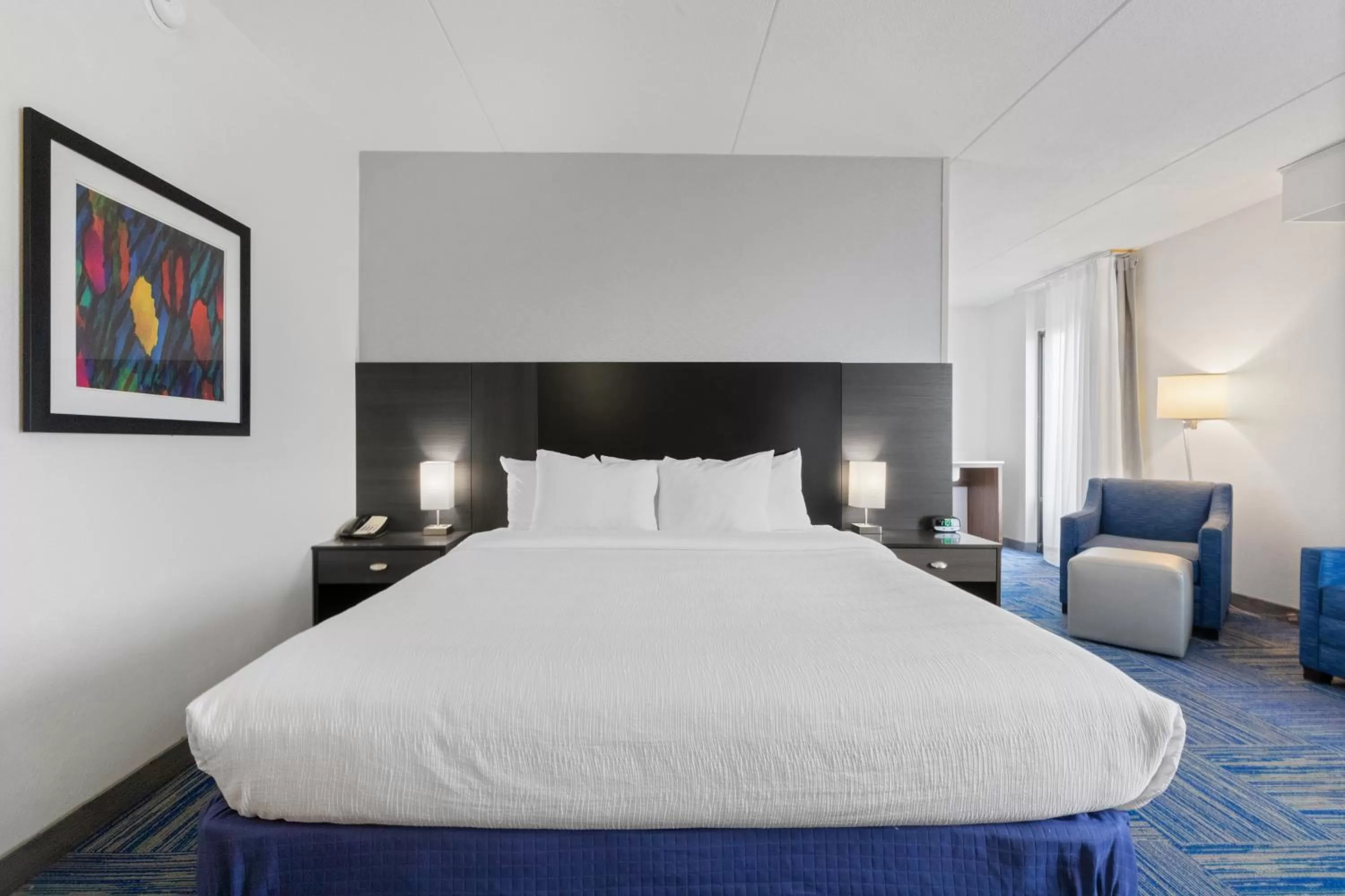 Superior King Suite - Non Smoking in Allentown Park Hotel, Ascend Hotel Collection