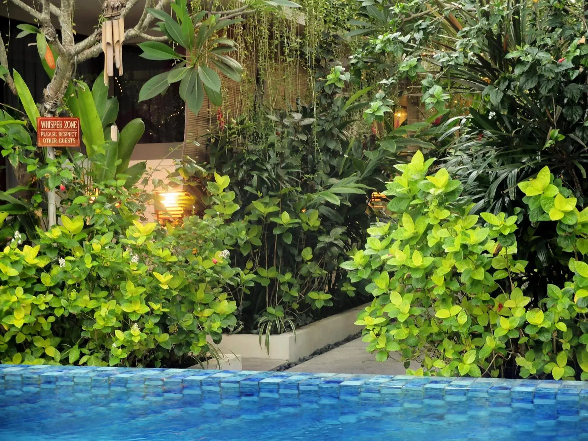 Garden, Swimming Pool in Arana Suite