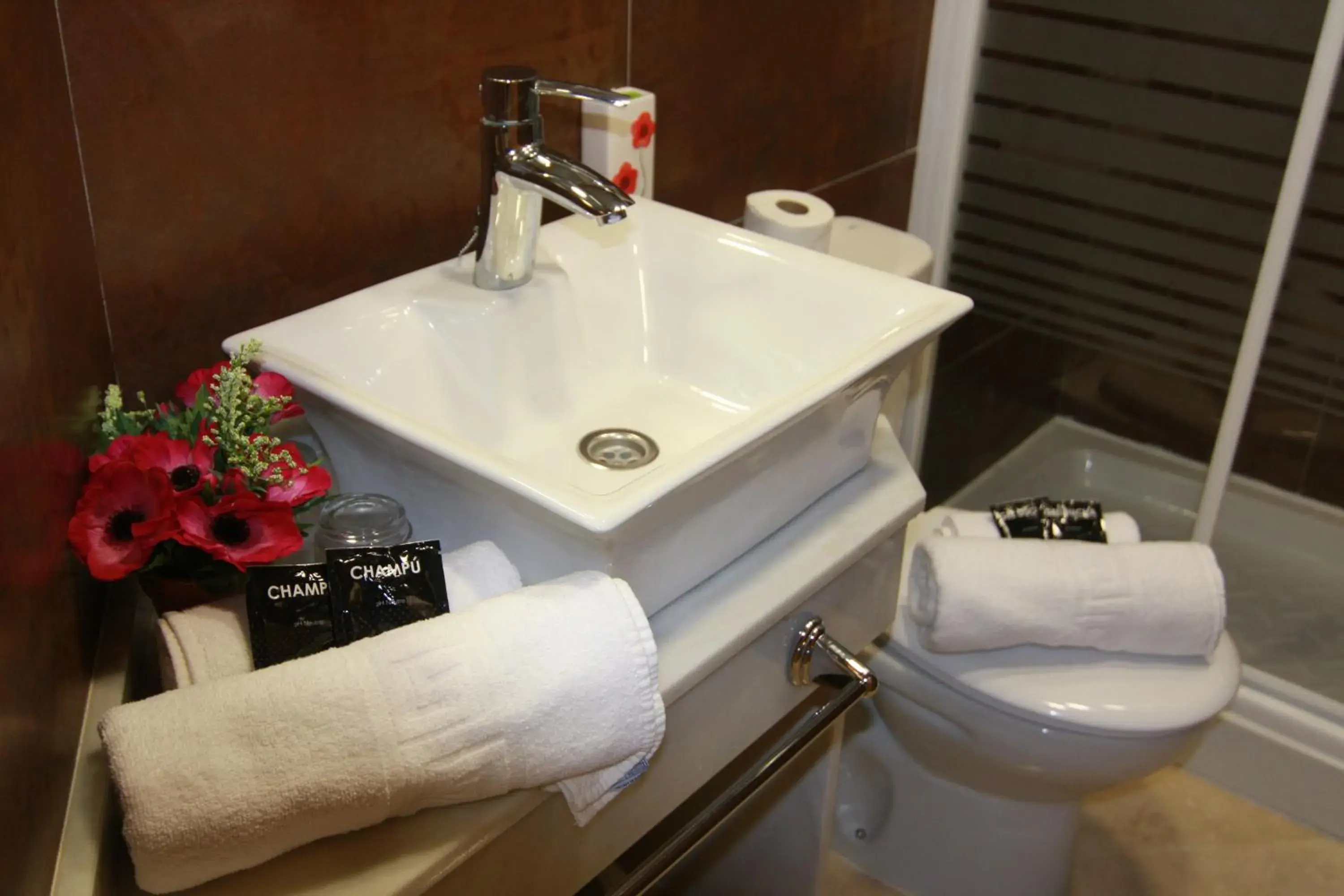 Bathroom in Hotel Duquesa
