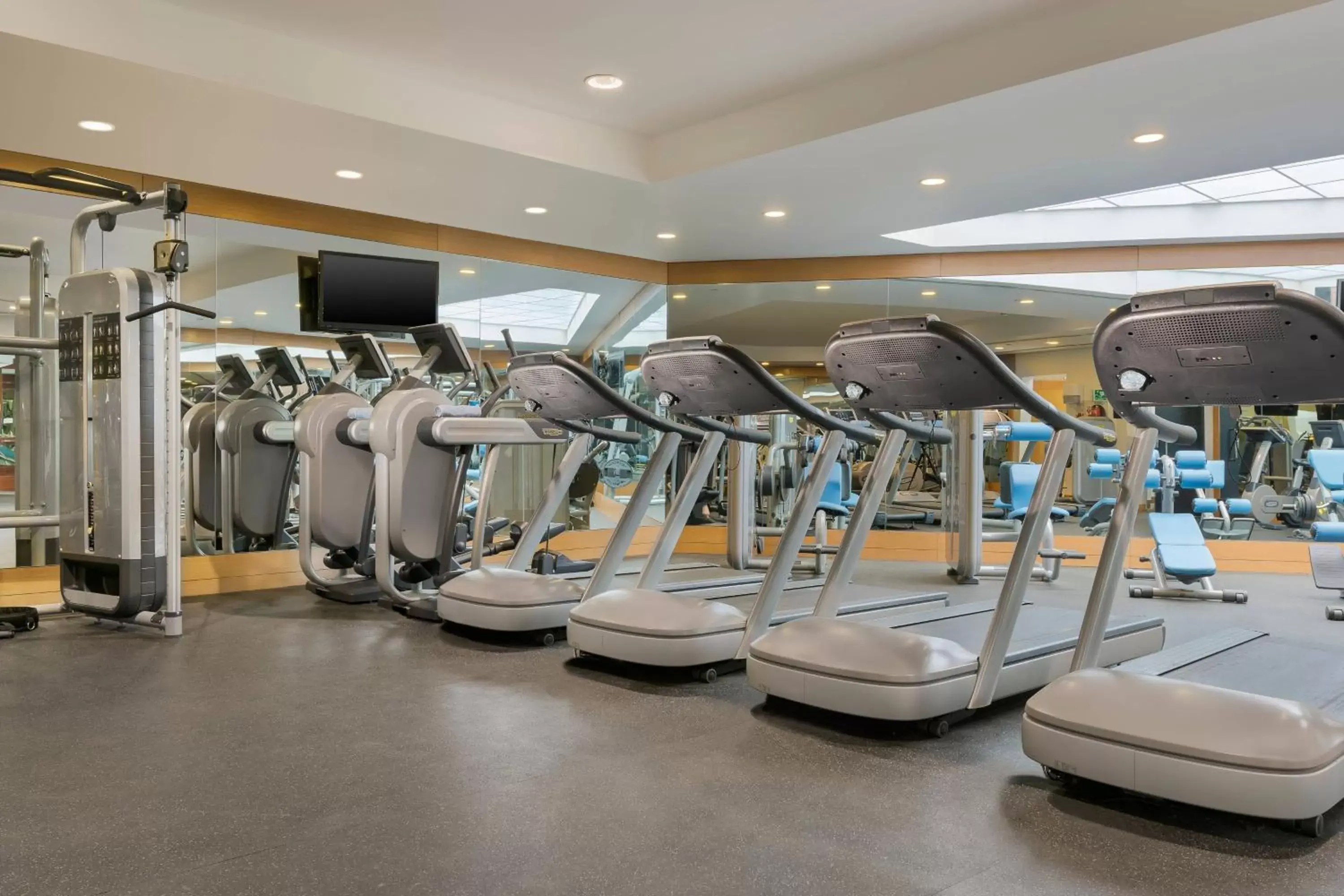 Fitness centre/facilities, Fitness Center/Facilities in Le Meridien Cairo Airport