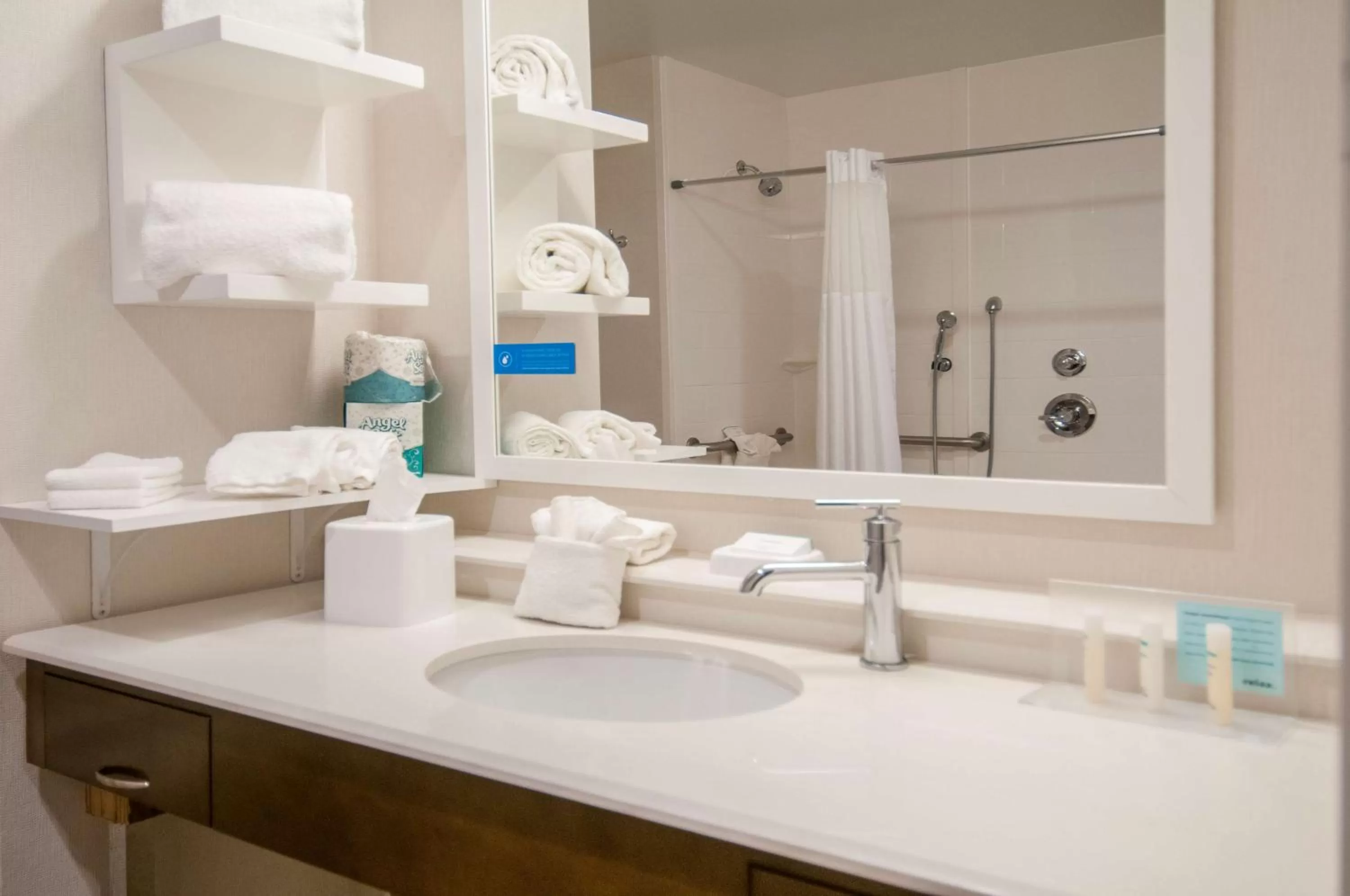 Bathroom in Hampton Inn Opelousas