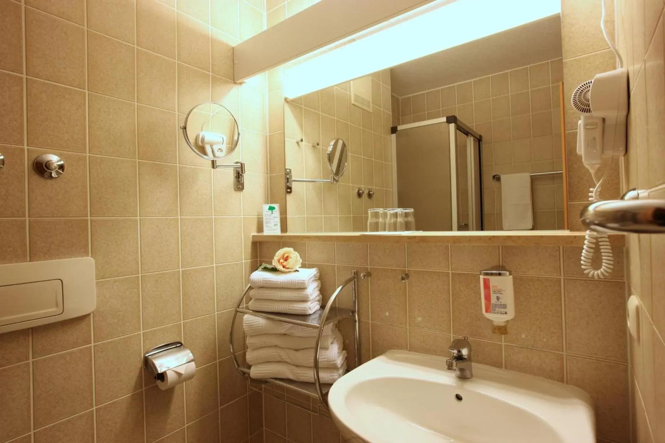 Shower, Bathroom in AktiVital Hotel