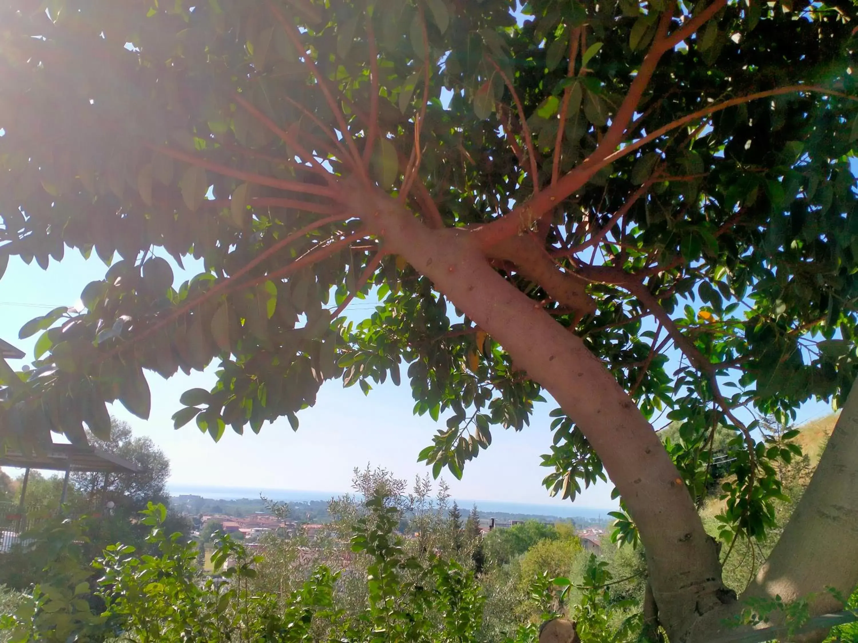 Natural landscape in Il Siriaco