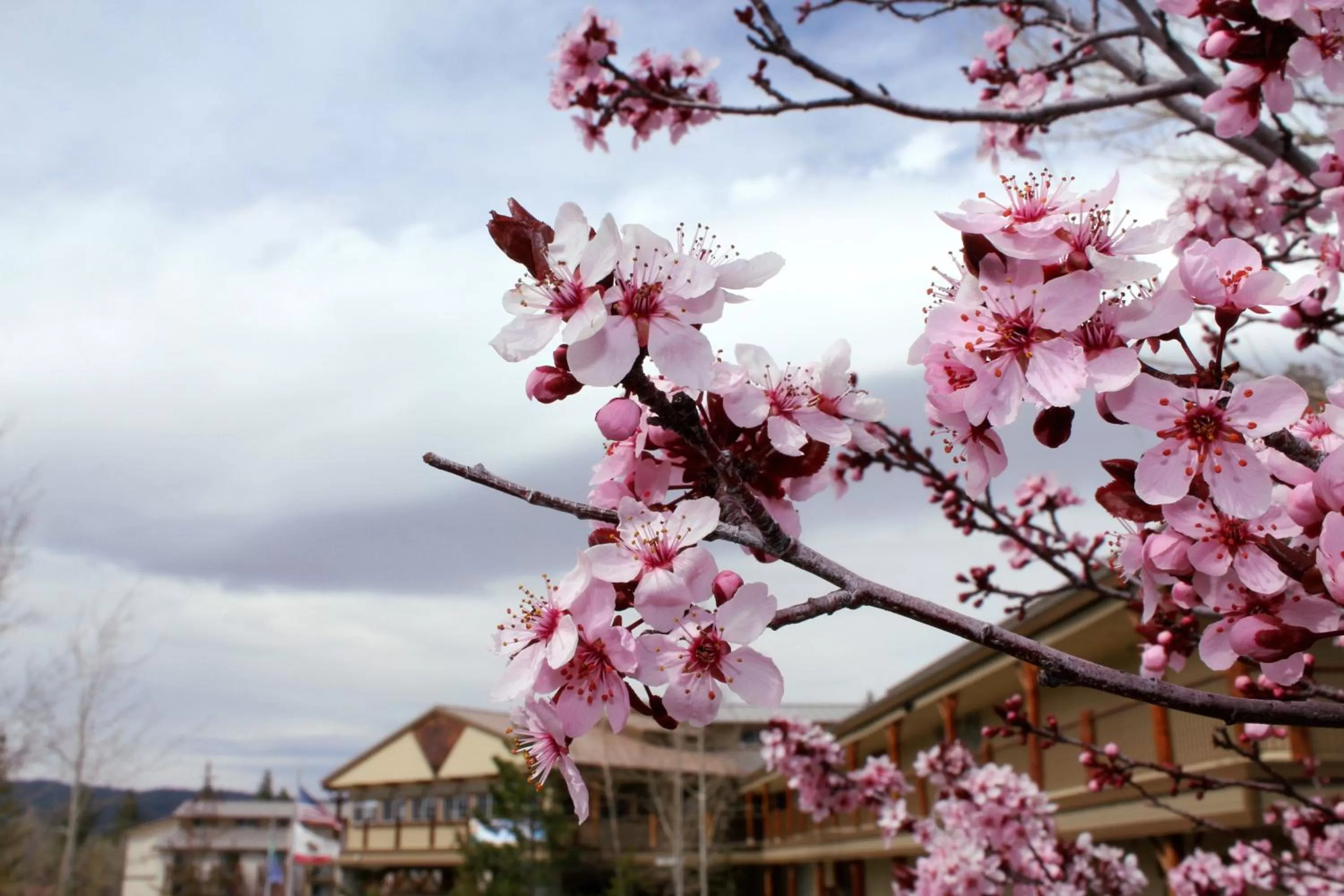 Other in Holiday Inn Resort The Lodge at Big Bear Lake by IHG