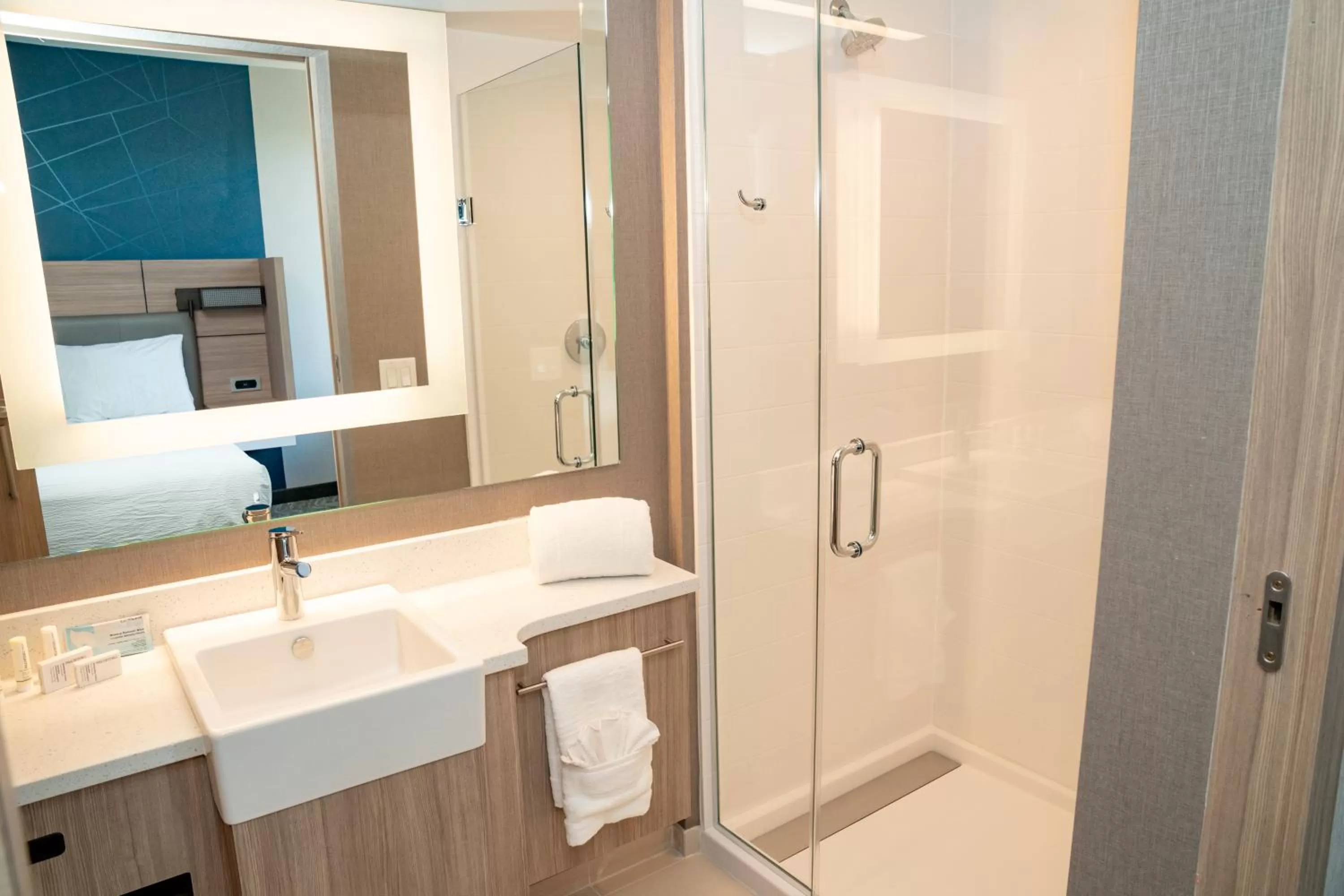 Bathroom in SpringHill Suites by Marriott Woodbridge