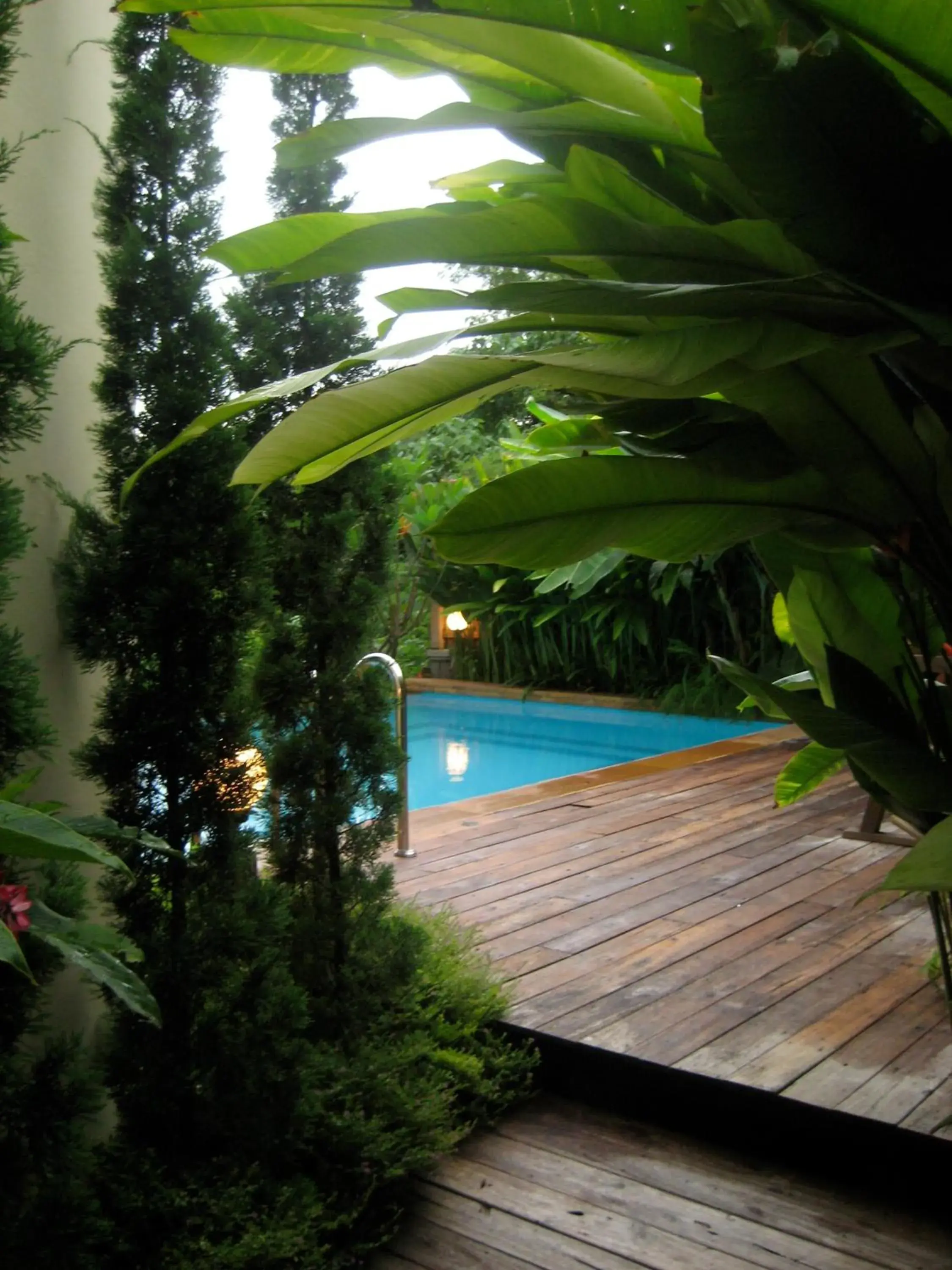 Natural landscape, Swimming Pool in Teakwood villa