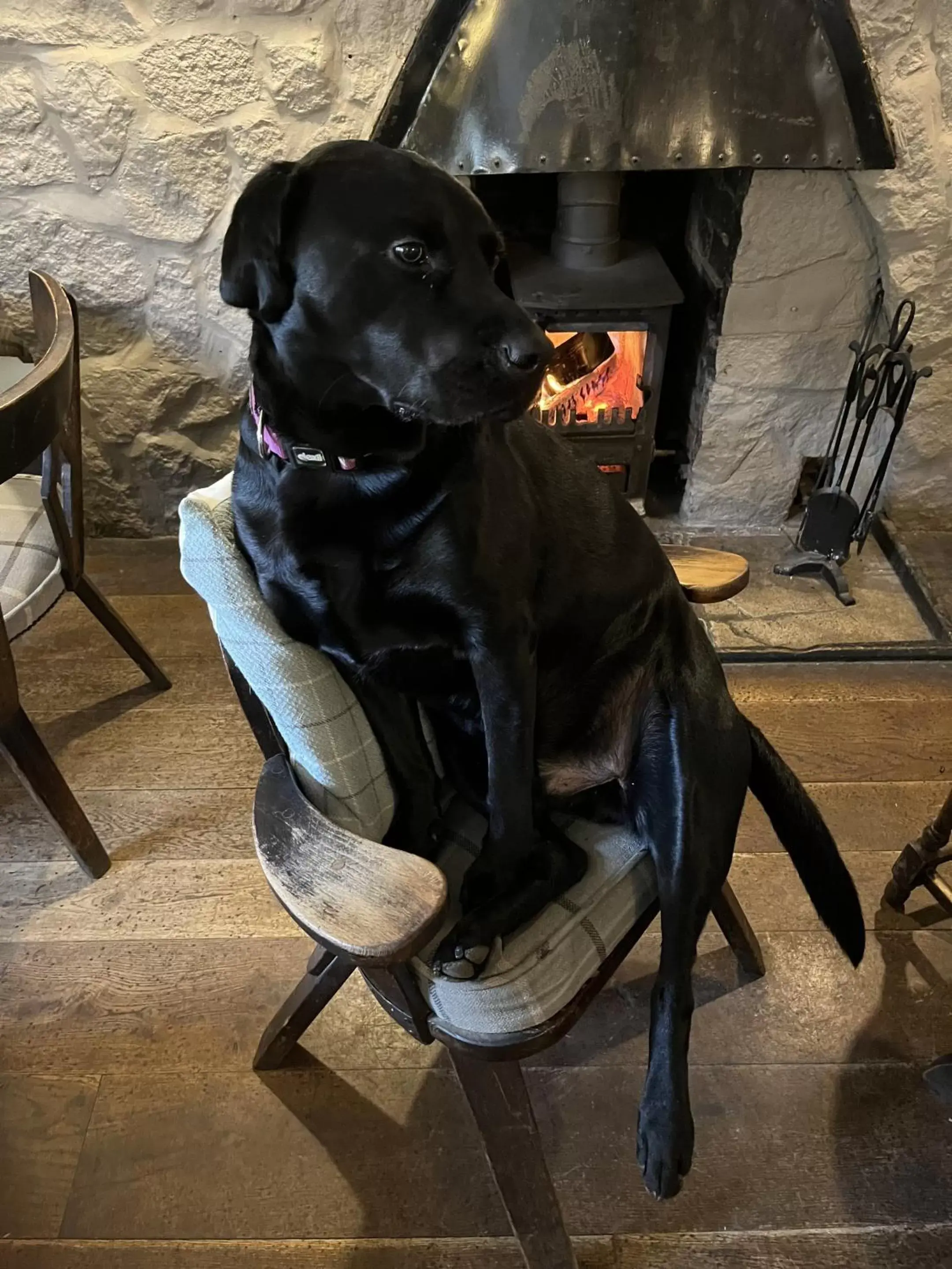 Lounge or bar, Pets in The Crewe Arms