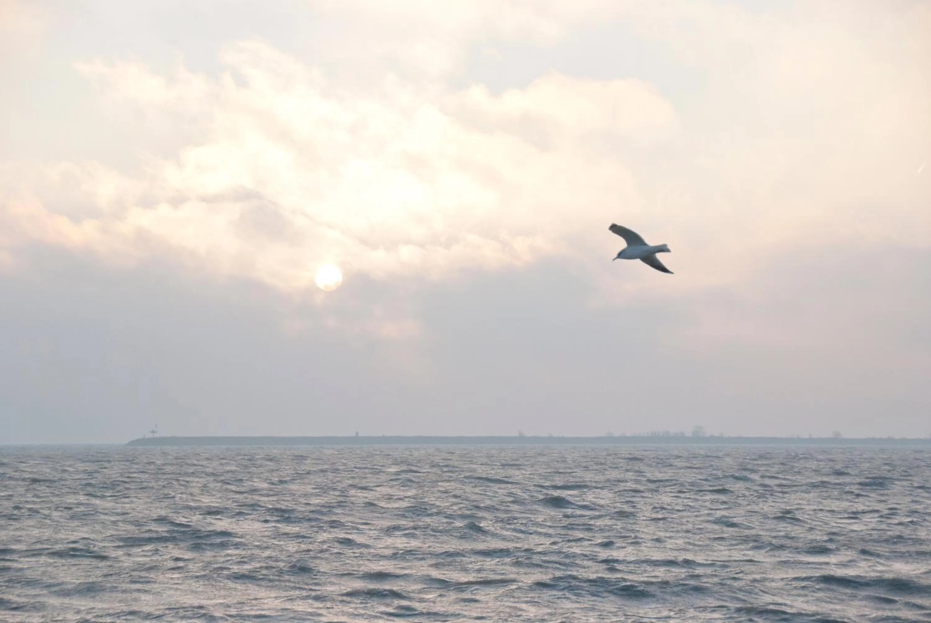 On site in Hotel Spaander BW Signature Collection