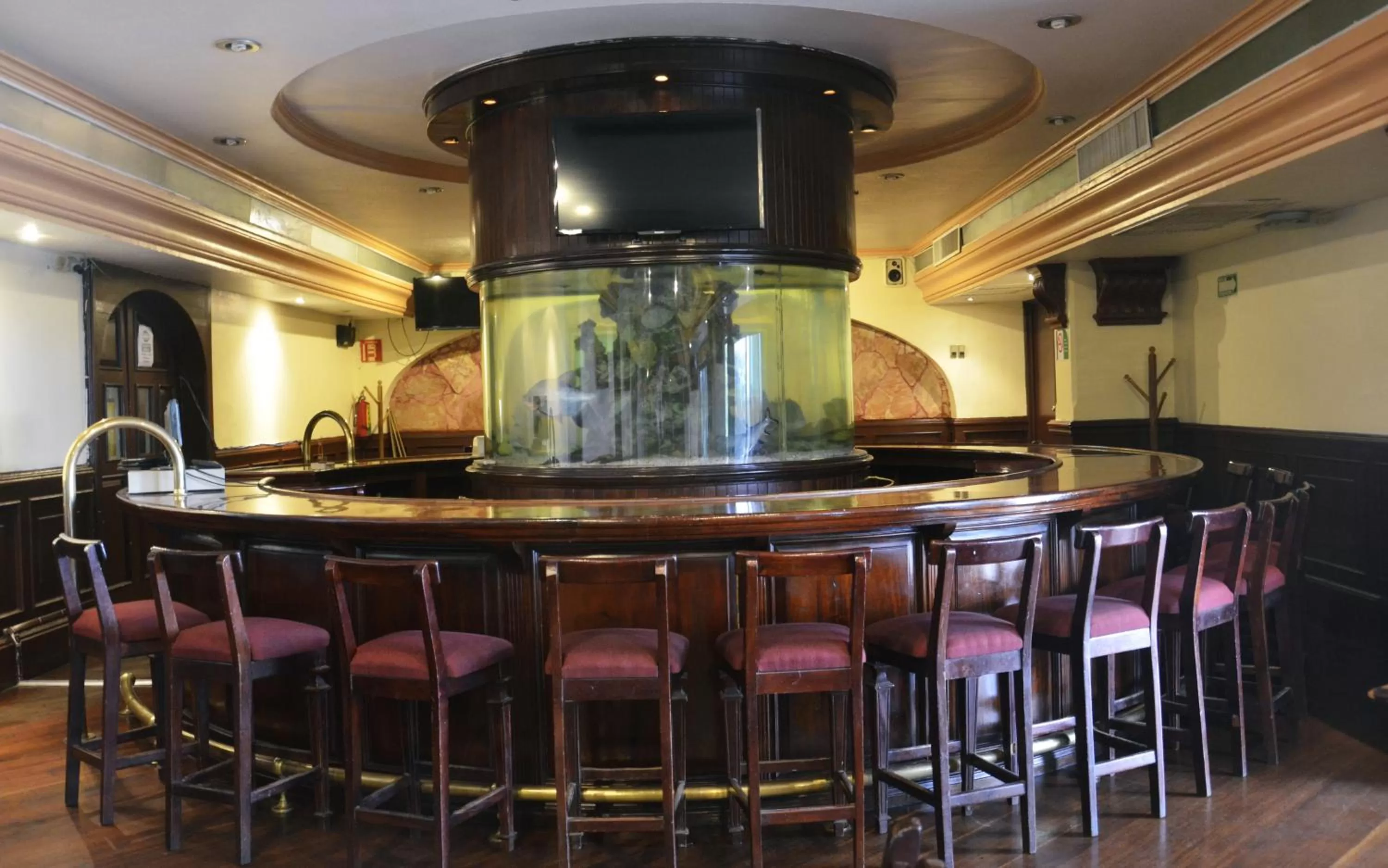 Lounge or bar in Hotel Maria Victoria Xalapa