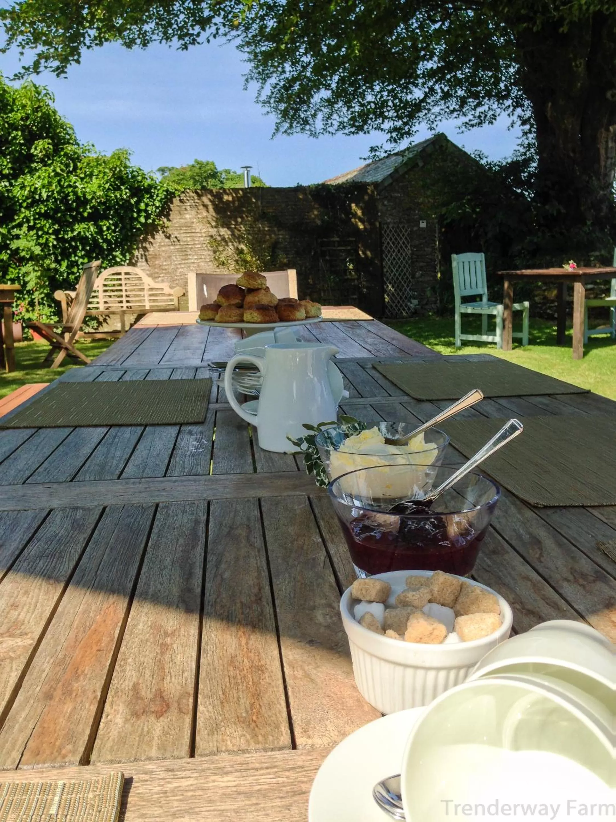 Food close-up in Trenderway Farm