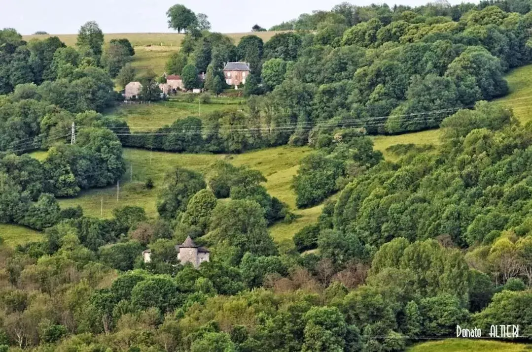 Bird's-eye View in Château de la Moissetie