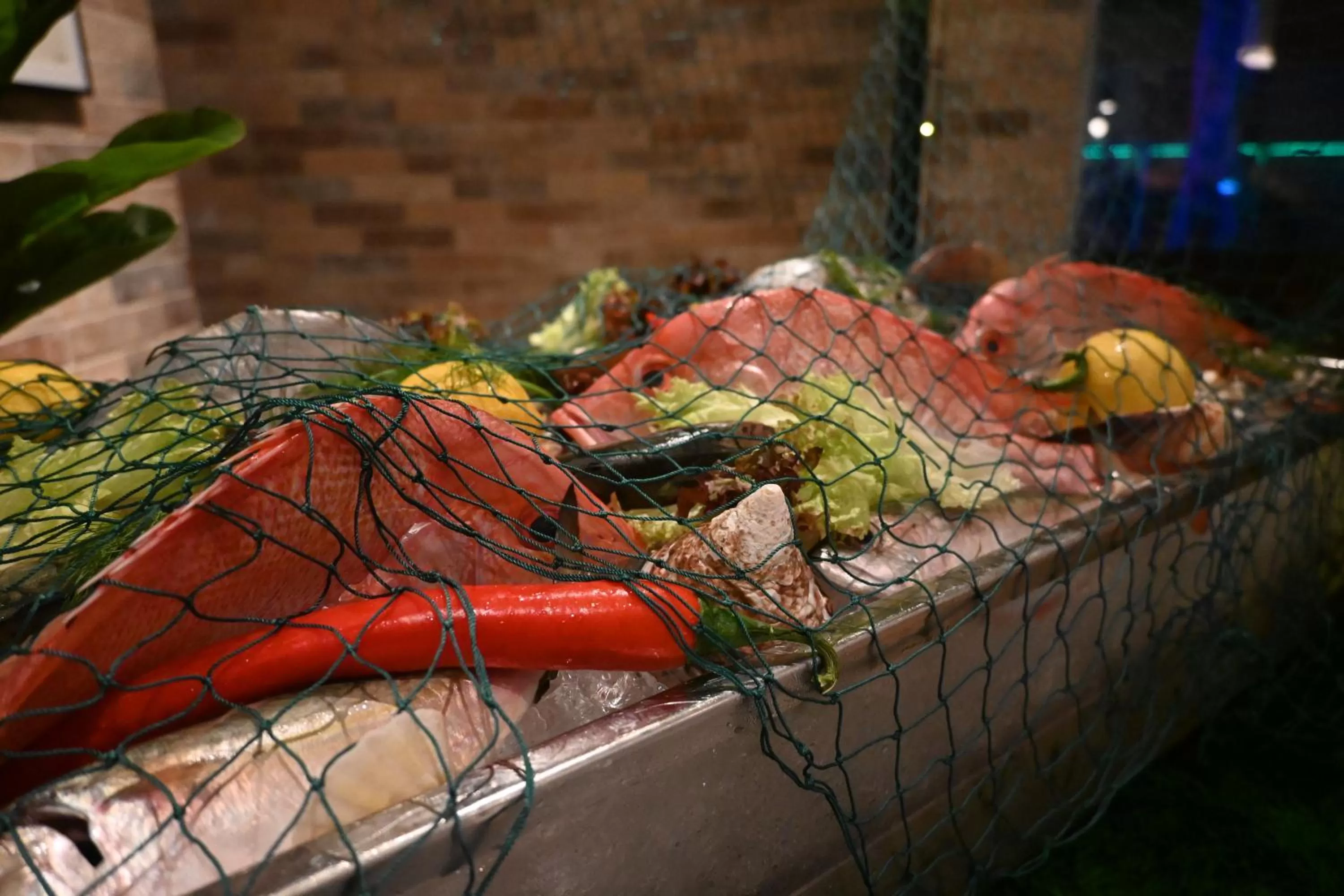 Food close-up, Other Animals in Wyndham Dubai Deira