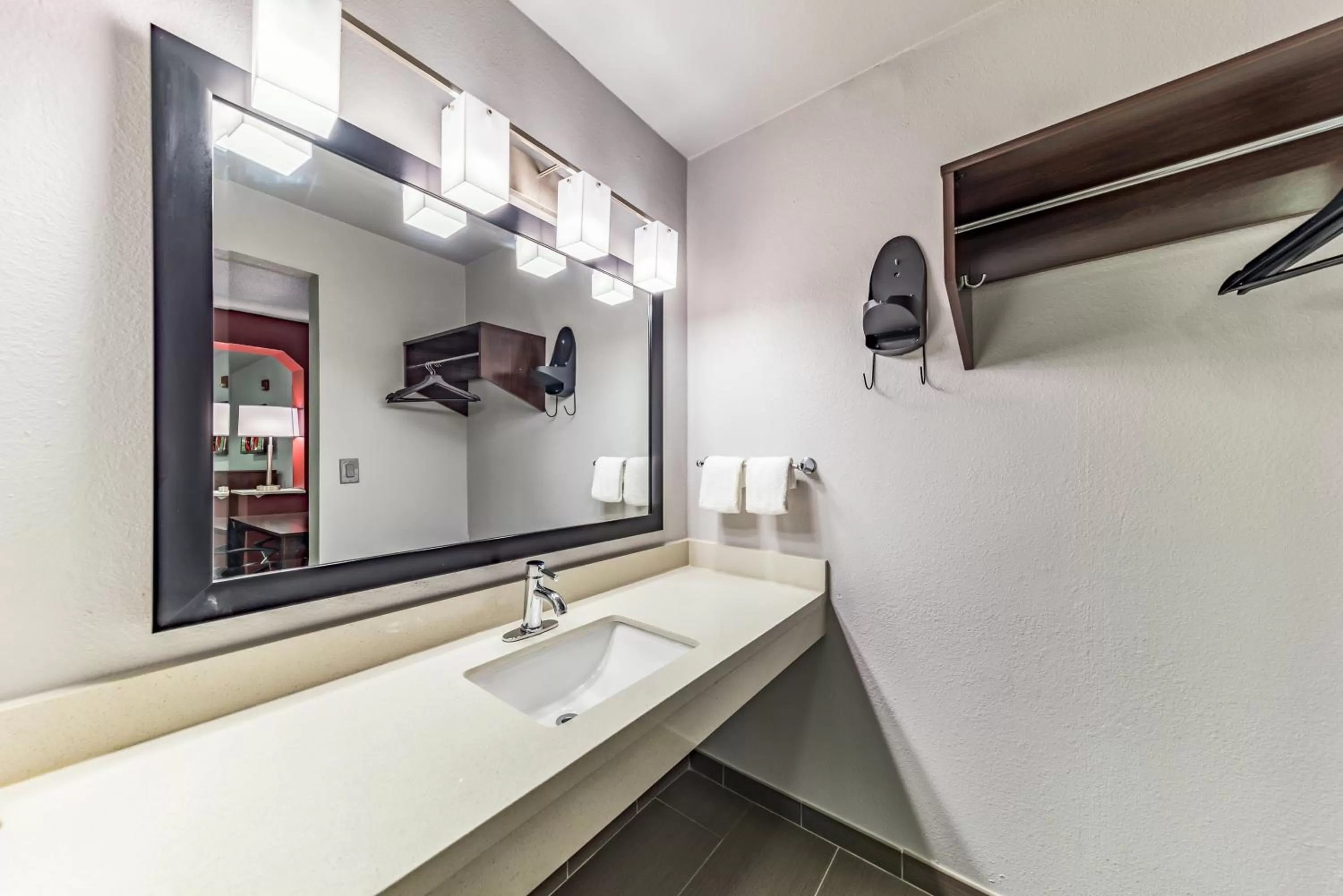 Bathroom in Red Roof Inn Dallas - Mesquite Fair Park NE