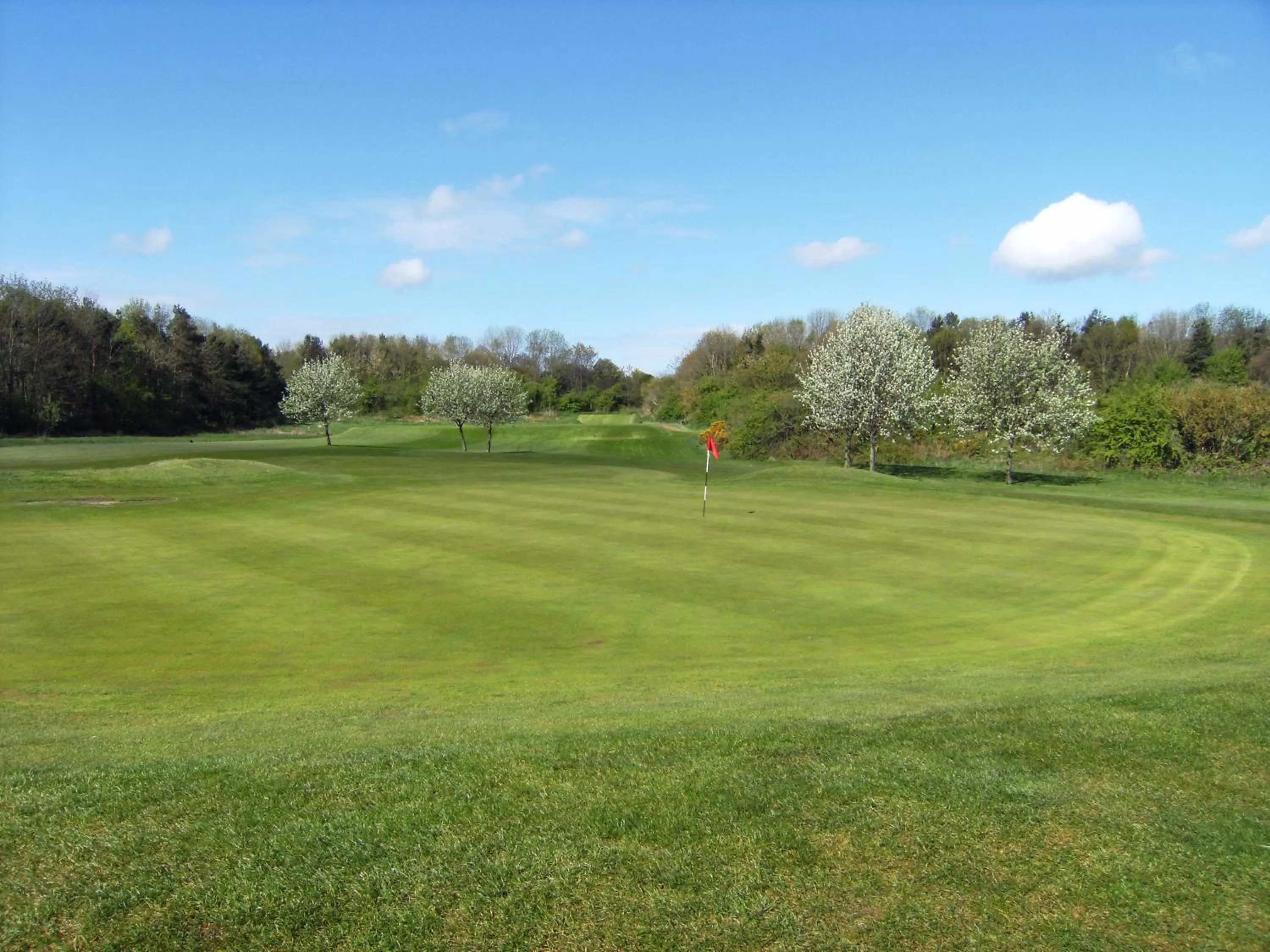 Golfcourse in Mercure Newcastle George Washington Hotel Golf & Spa