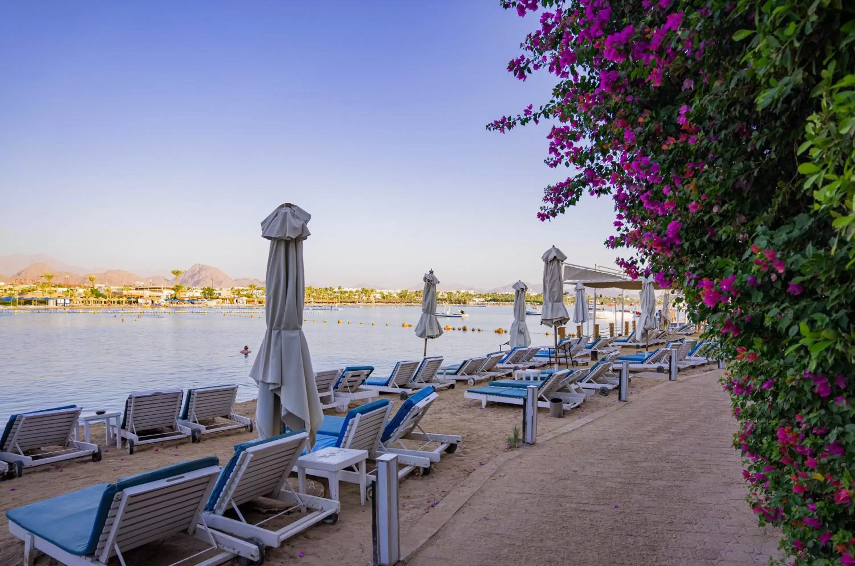 Beach in Marina Sharm Hotel