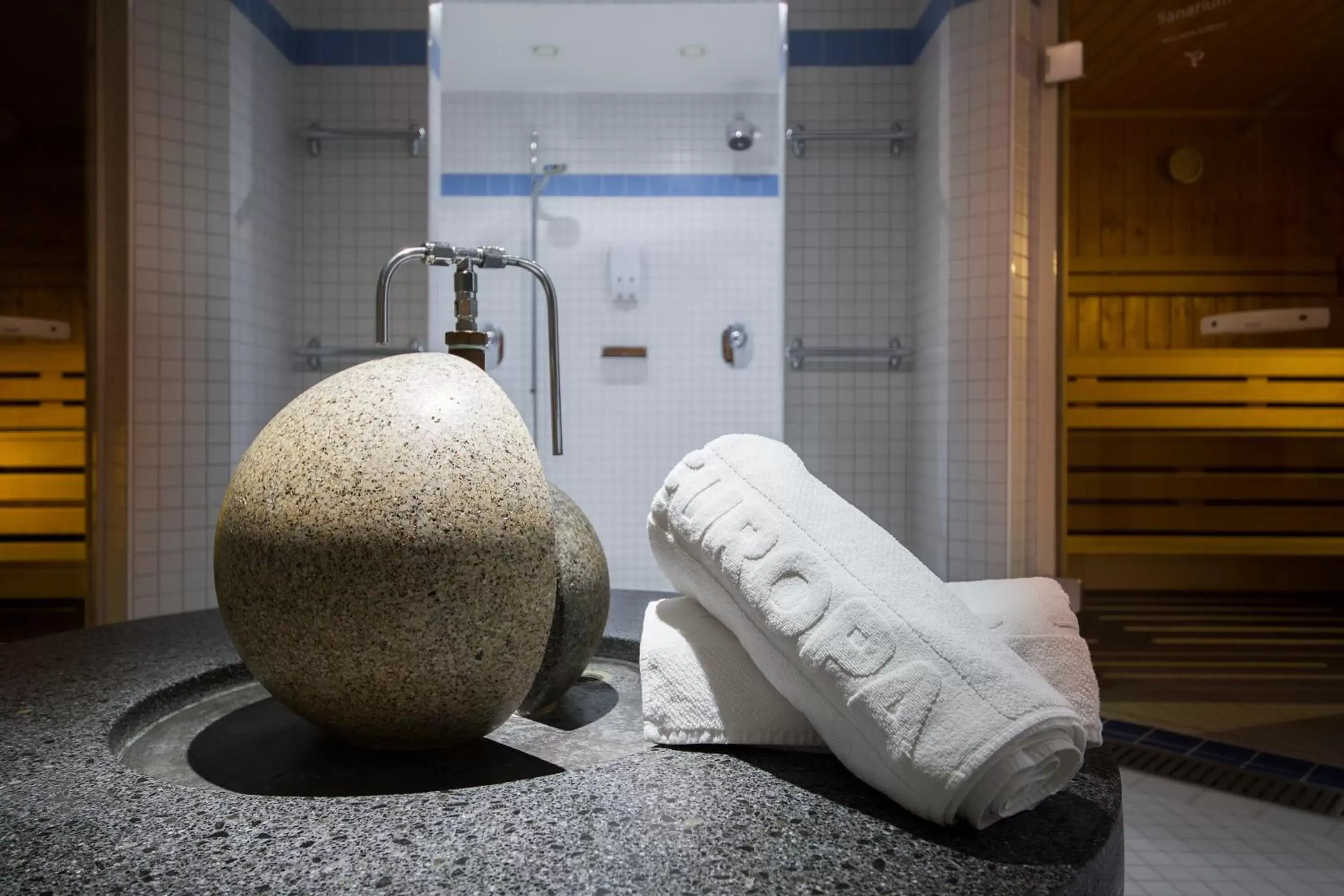 Spa and wellness centre/facilities, Bathroom in Hotel Europa St. Moritz