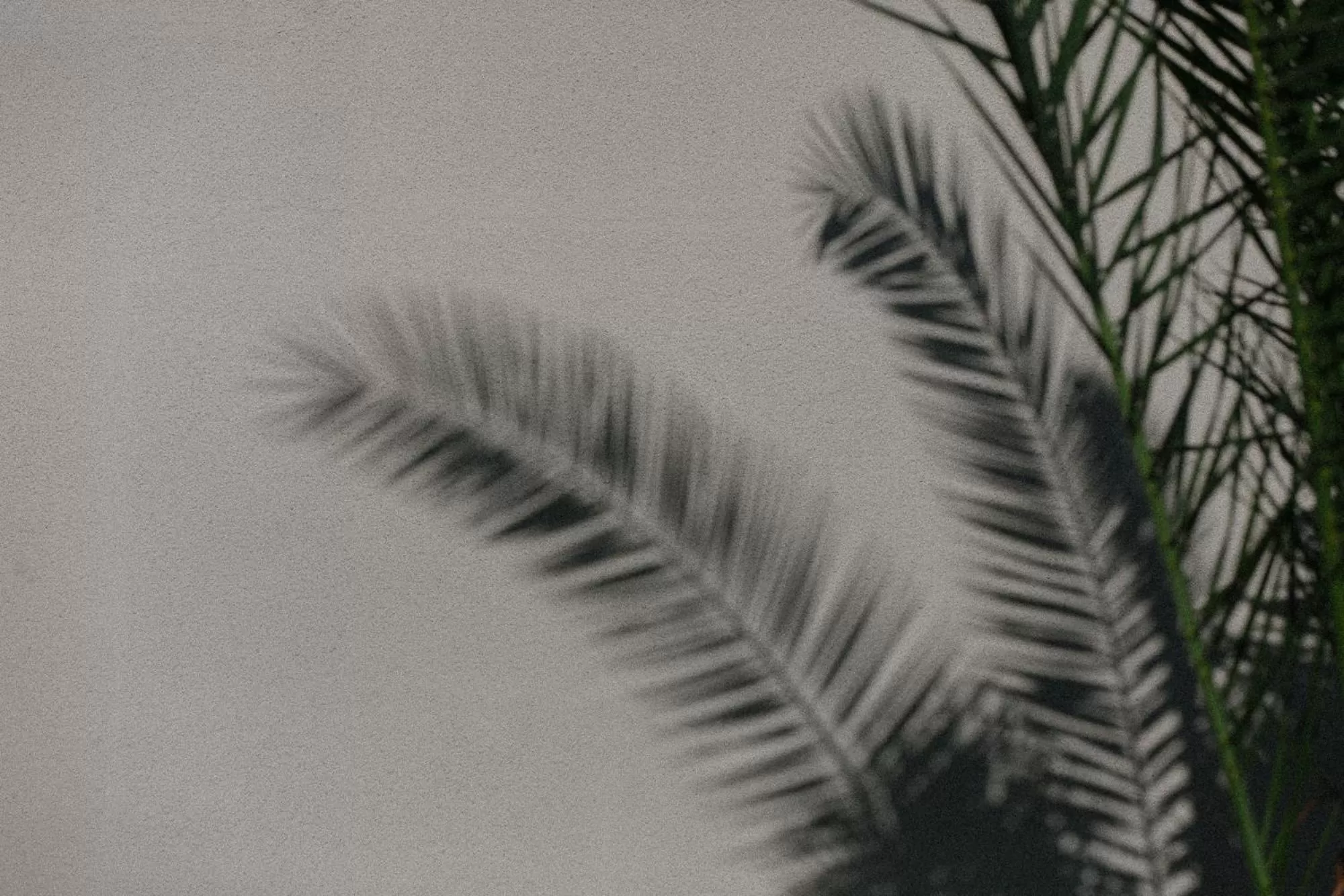 Day in Yara Hotel - Adults Only