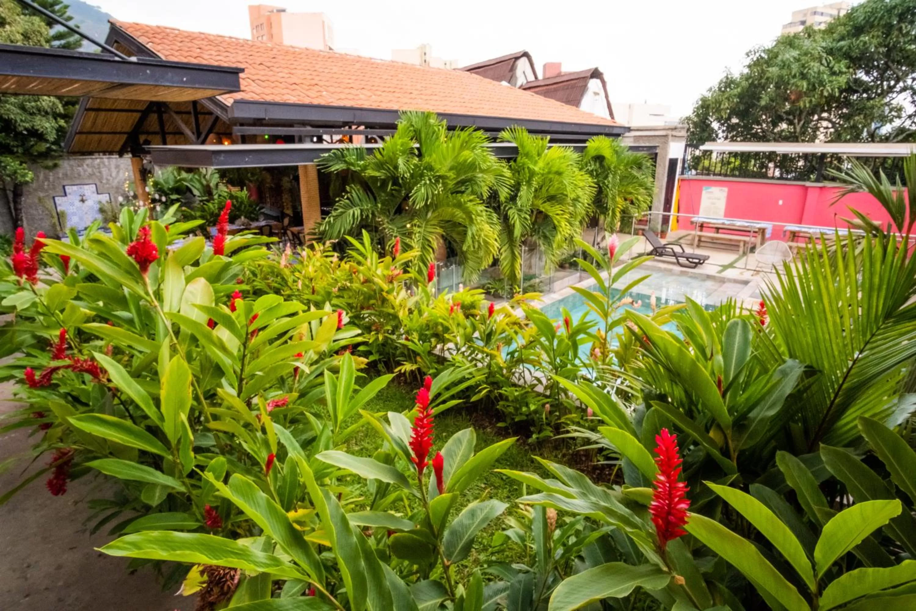 Property building in Rossa Palma