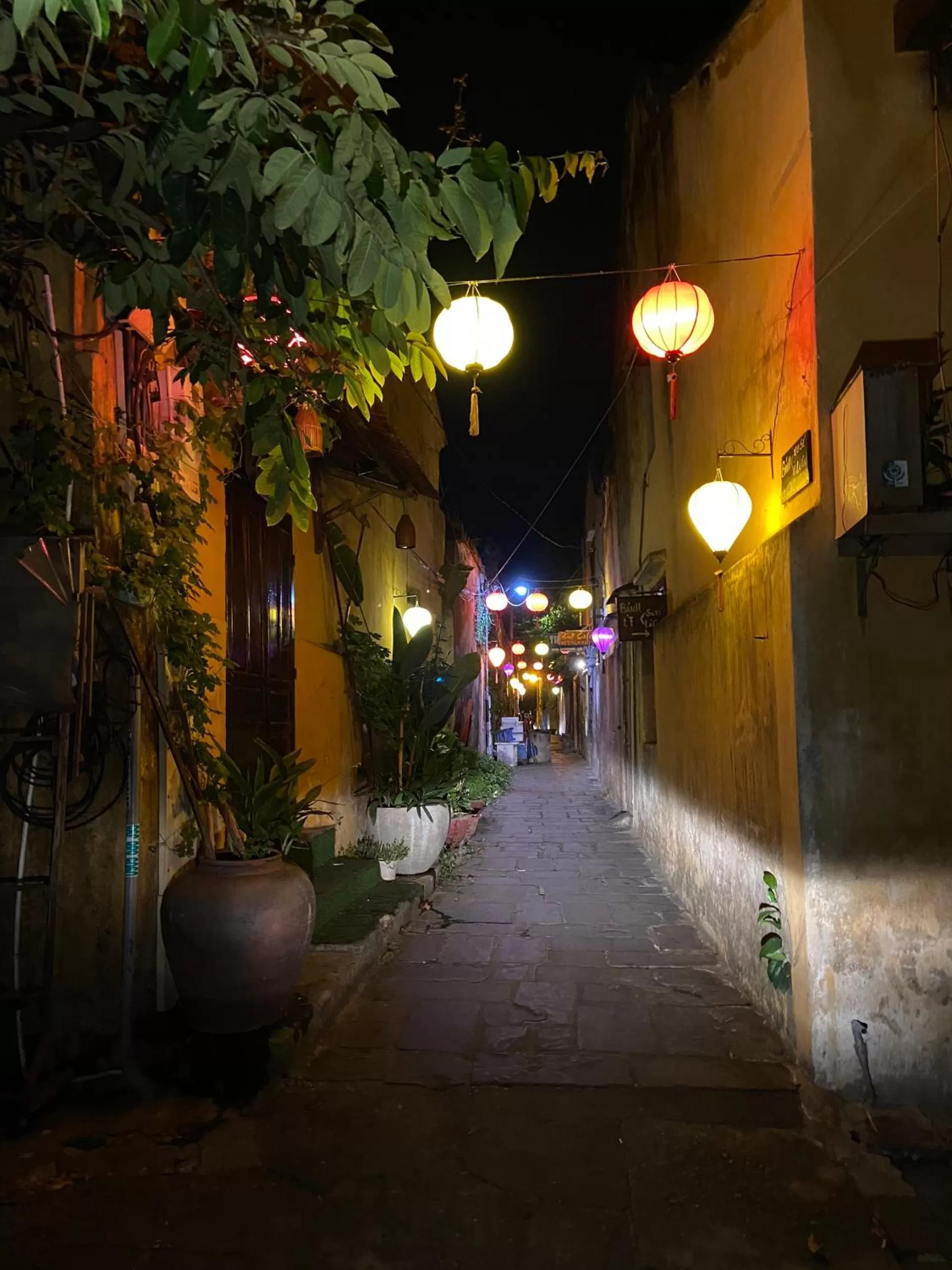 Night in Maison Khoi Homestay