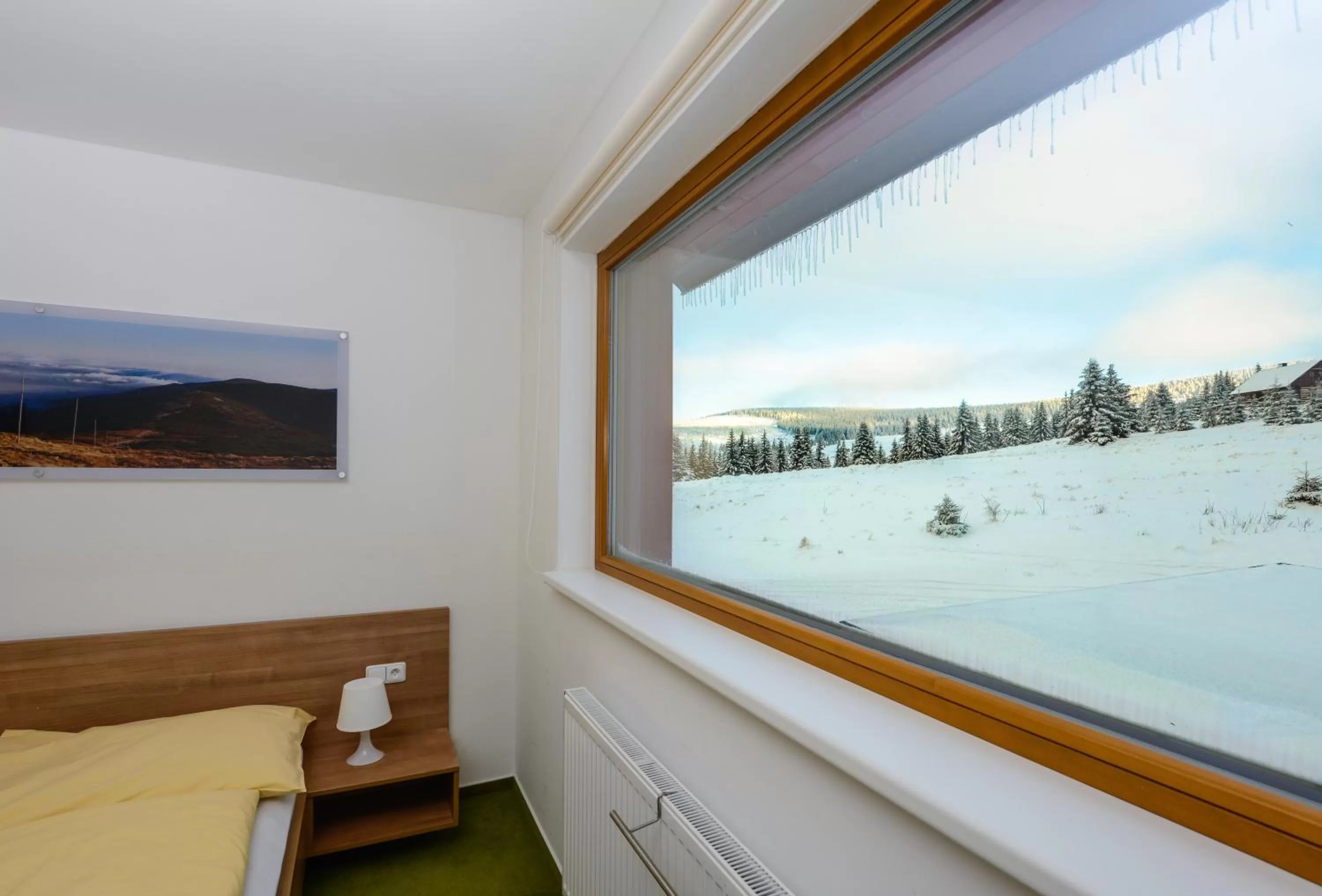 Mountain view in Penzion Andula Friesovy boudy