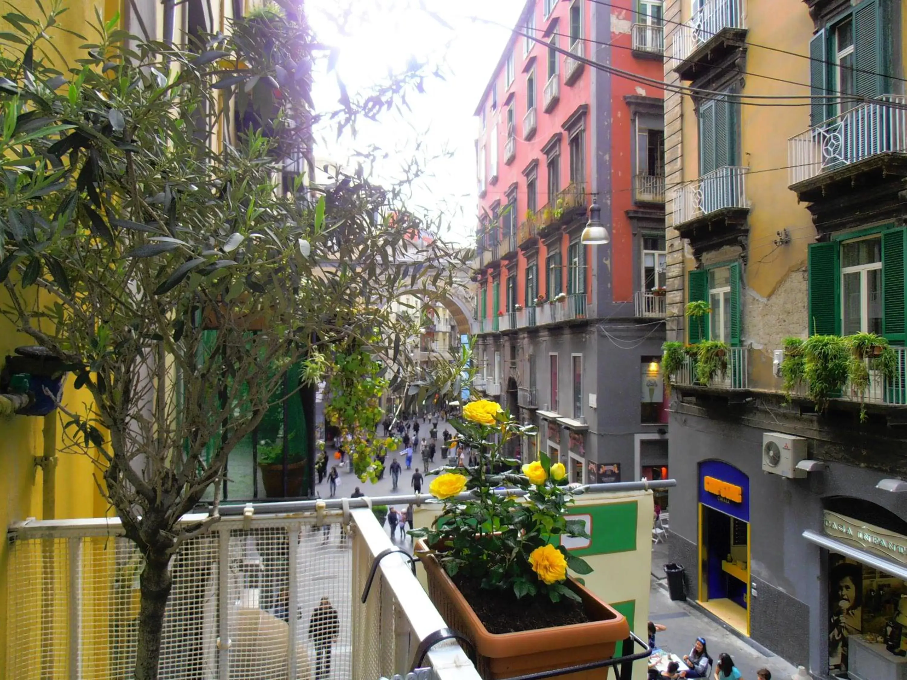 Balcony/Terrace in Bed & Breakfast Plebiscito Home