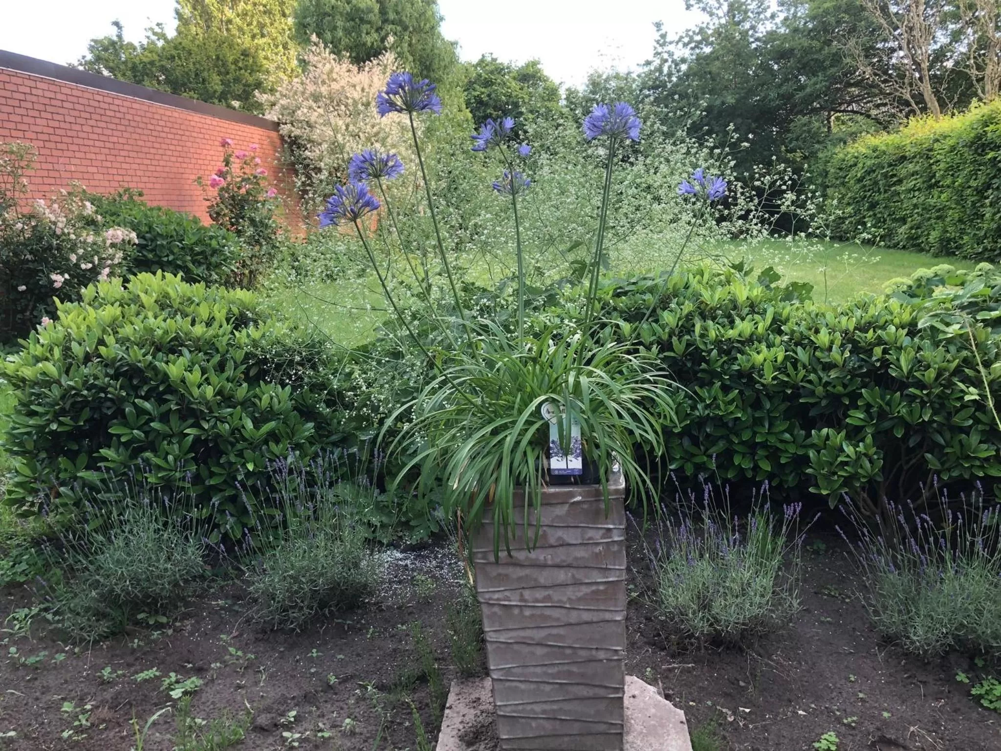 Garden in Beaux Temps b&b