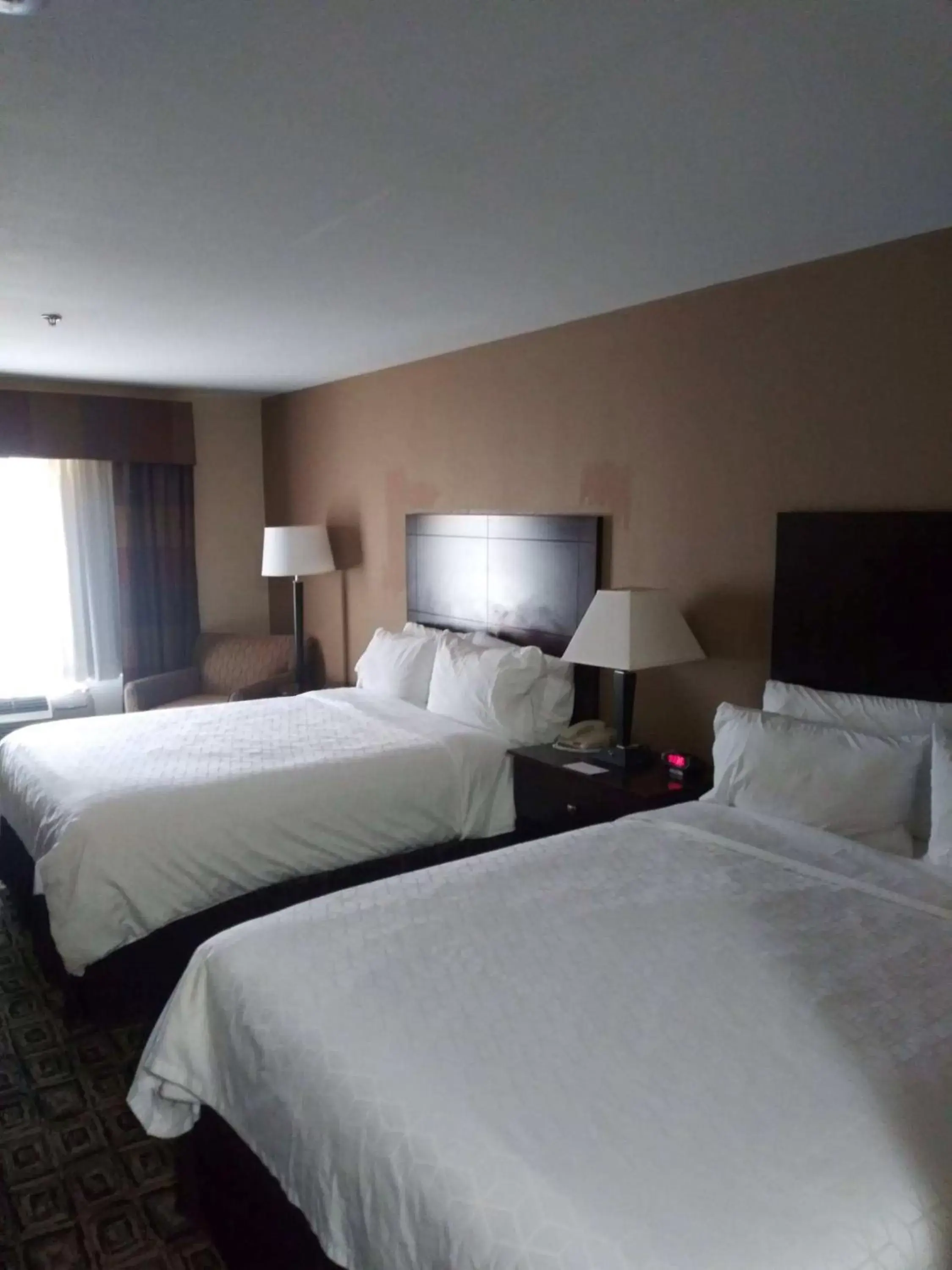 Photo of the whole room, Bed in Holiday Inn Express & Suites Zanesville North, an IHG Hotel