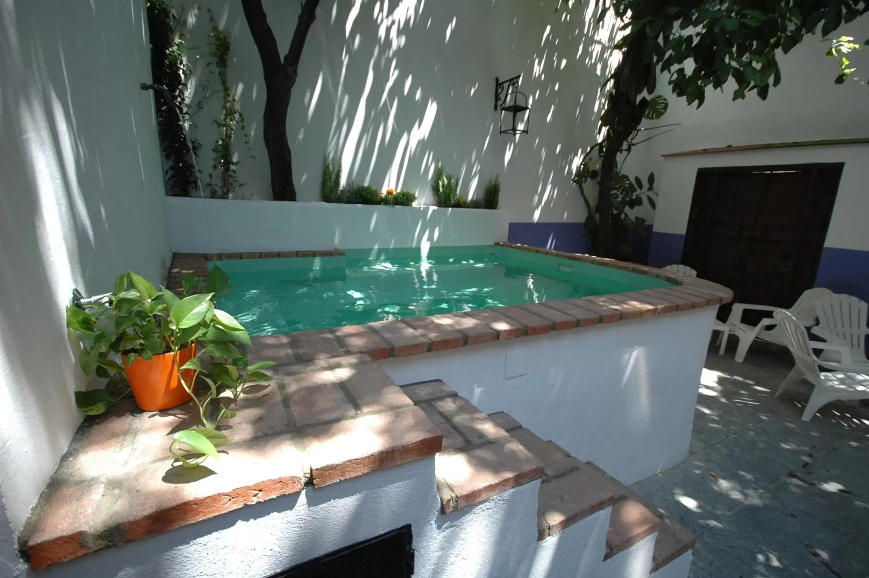 Swimming Pool in Hotel Casa de los Azulejos