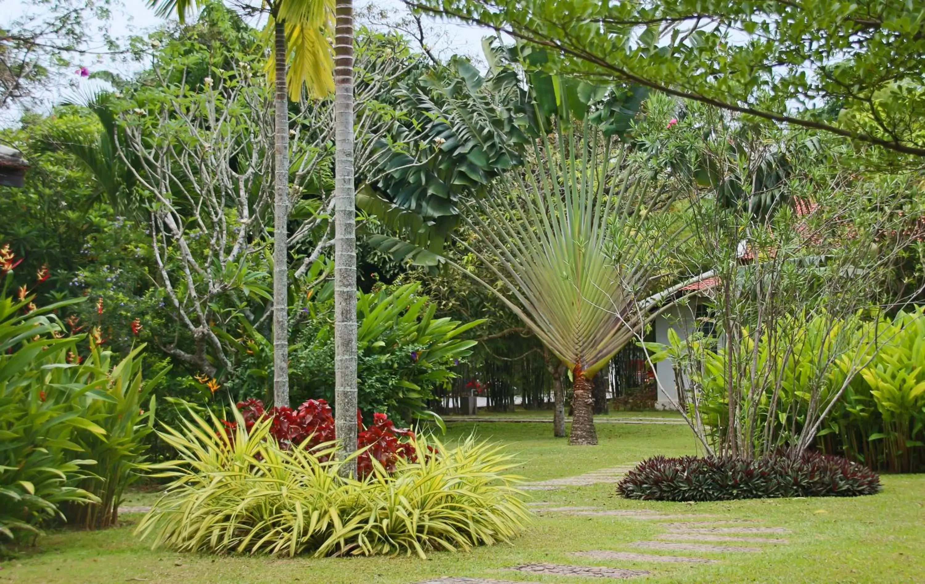 Garden in Samanea Beach Resort & Spa