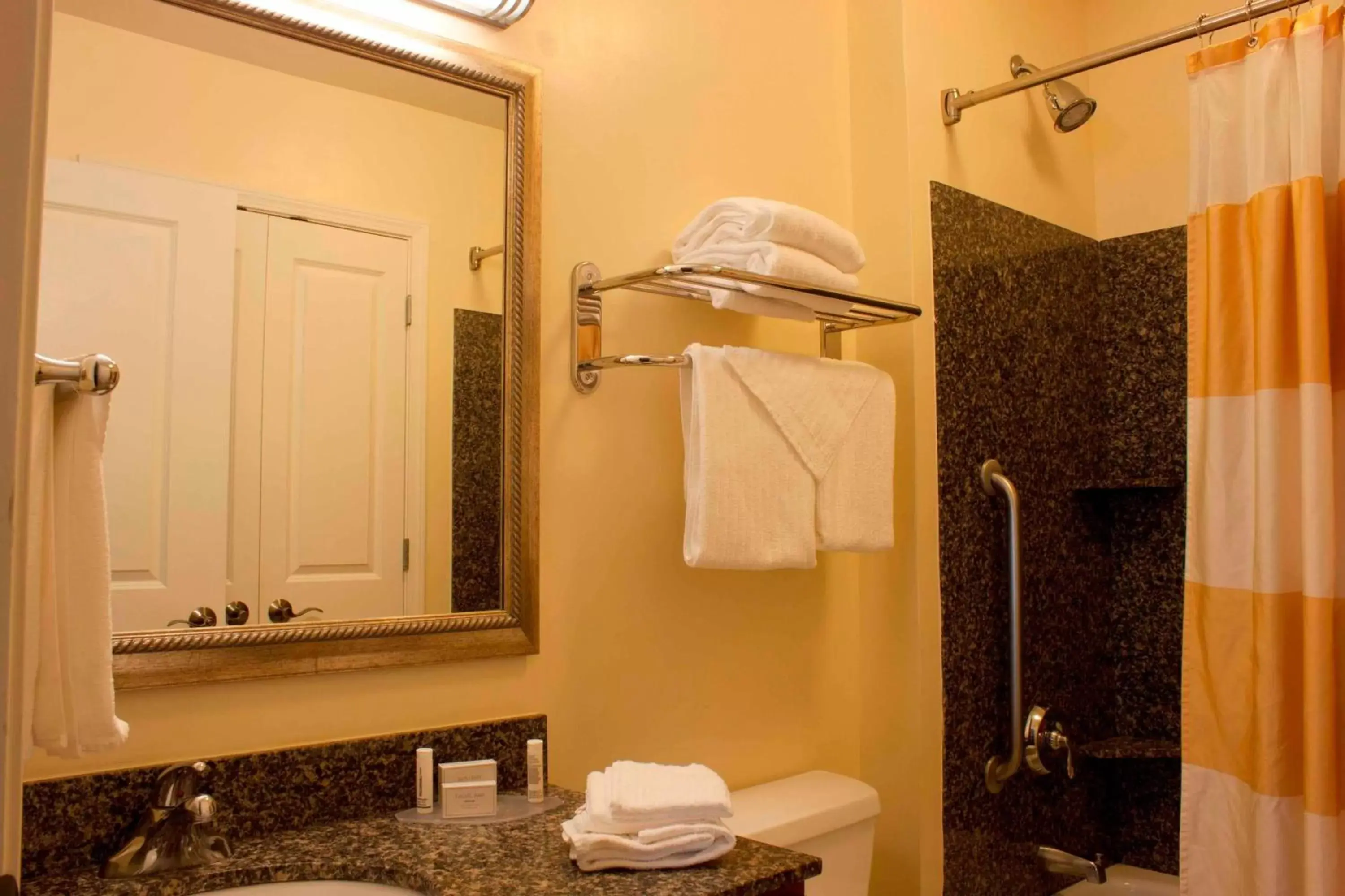 Bathroom in TownePlace Suites by Marriott Colorado Springs South