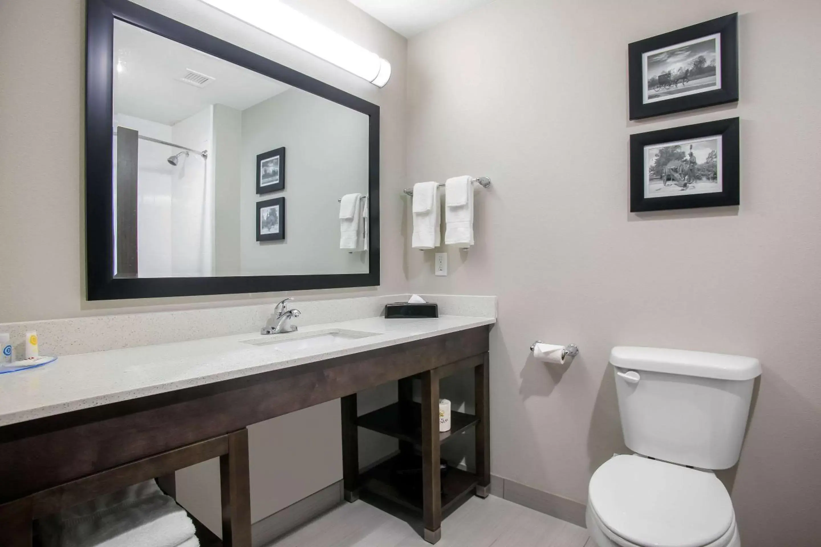 Bathroom in Holiday Inn Express & Suites Tulsa East - Catoosa, an IHG Hotel