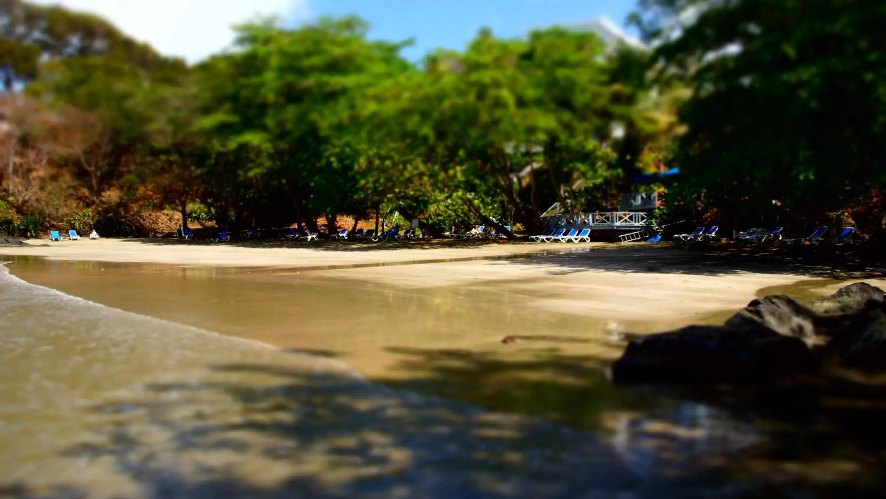 Natural landscape in Bacolet Beach Club