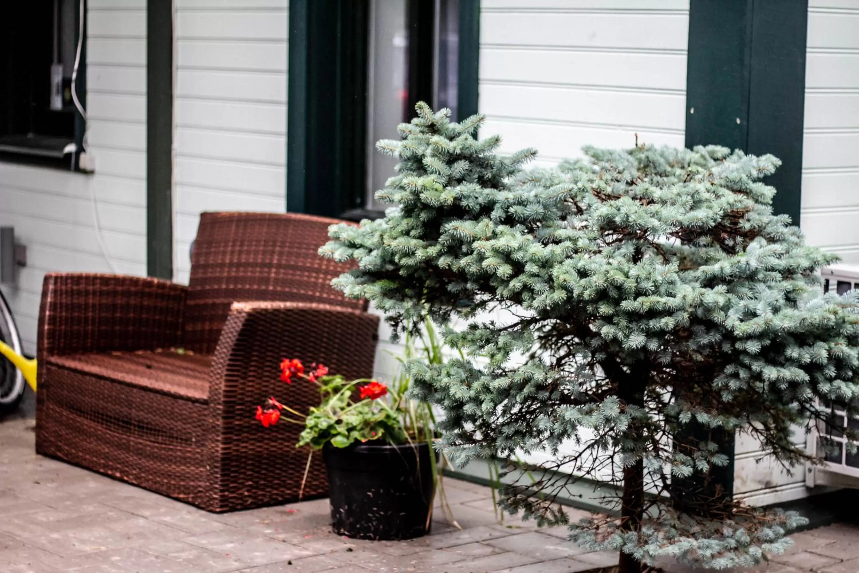 Patio in Sunset Hotel
