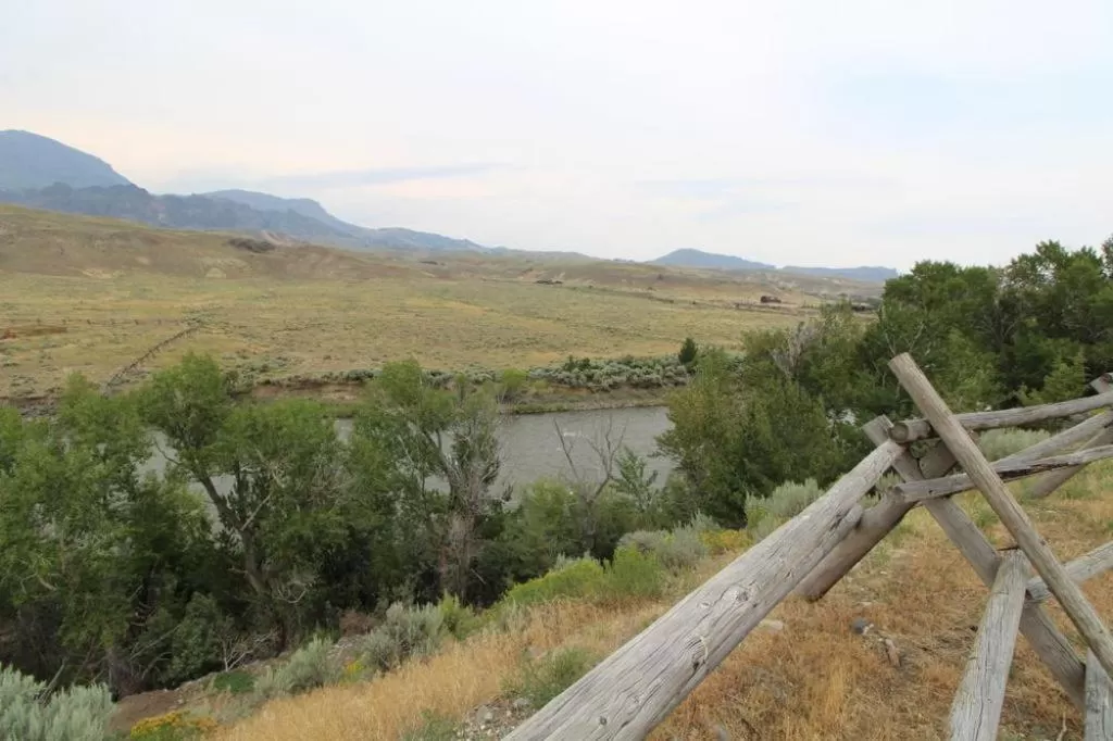 Other in Wapiti Lodge