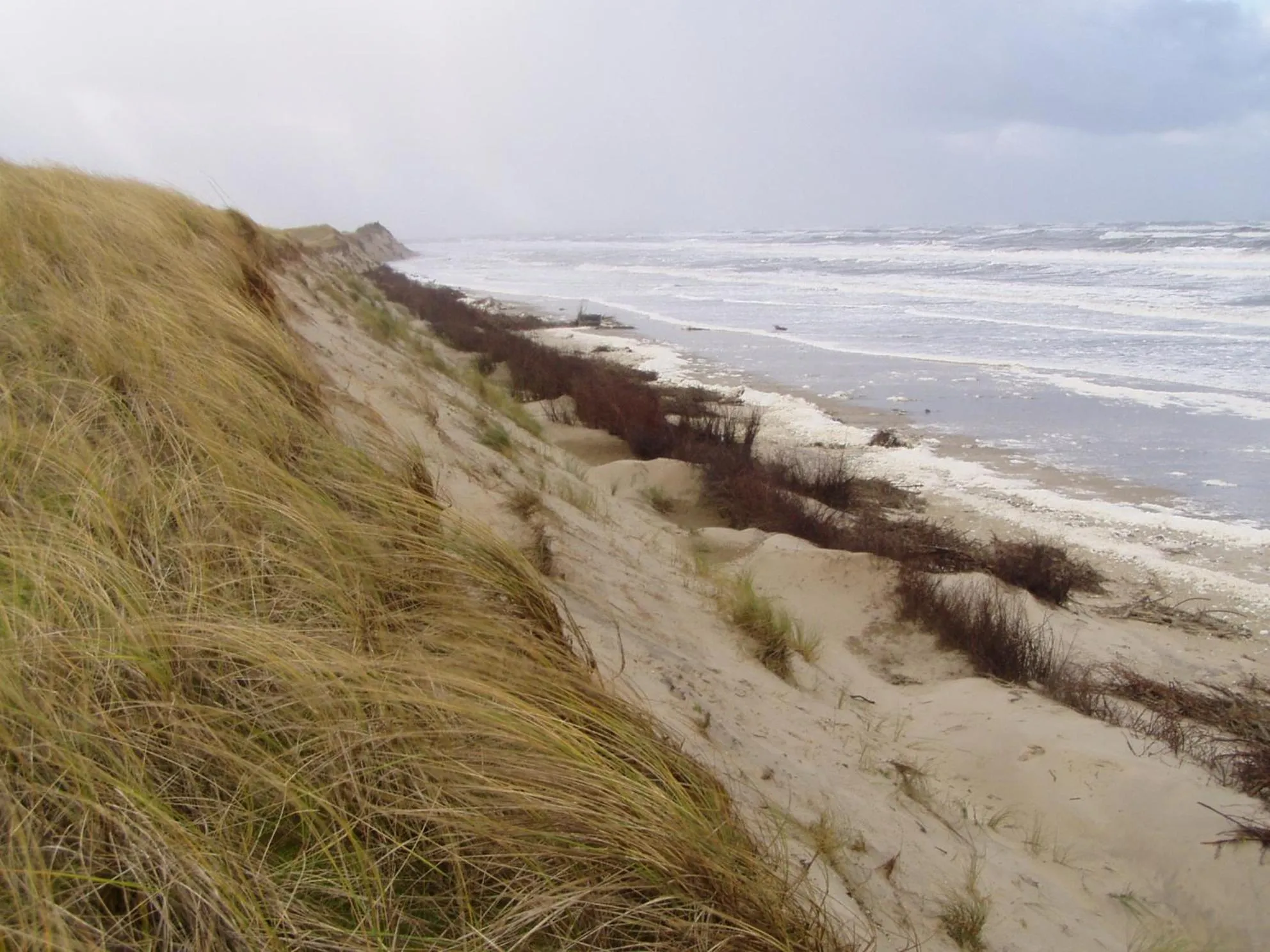 Beach in Logierhus Langeoog