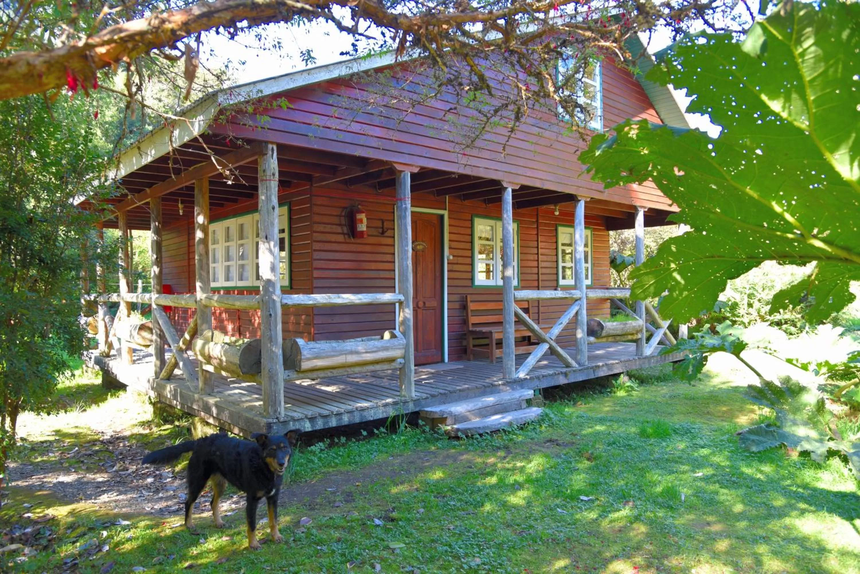 Photo of the whole room in Posada Queulat