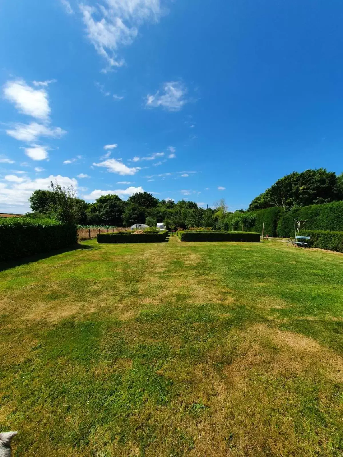 Garden in Station House