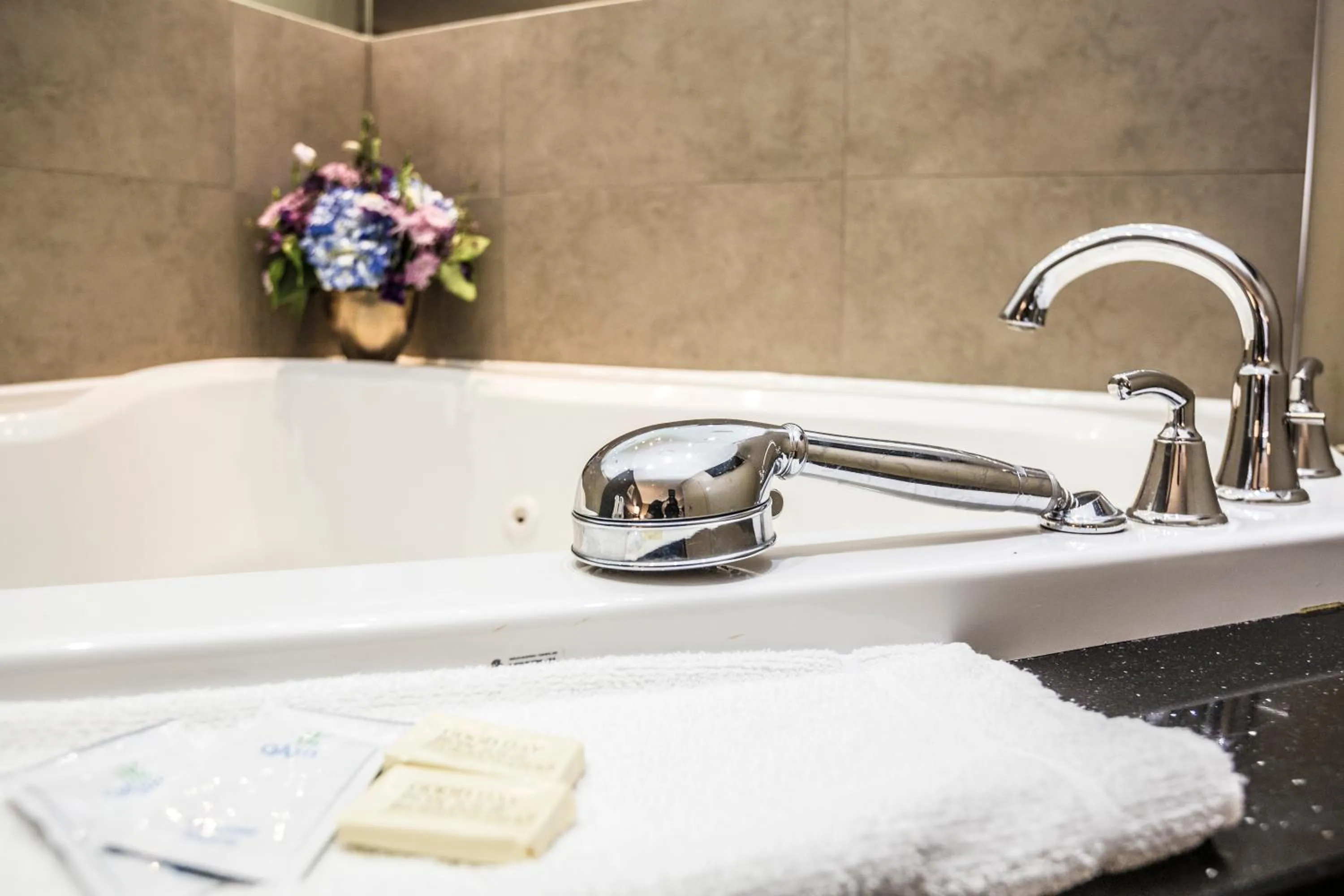 Bathroom in Mississauga Gate Inn