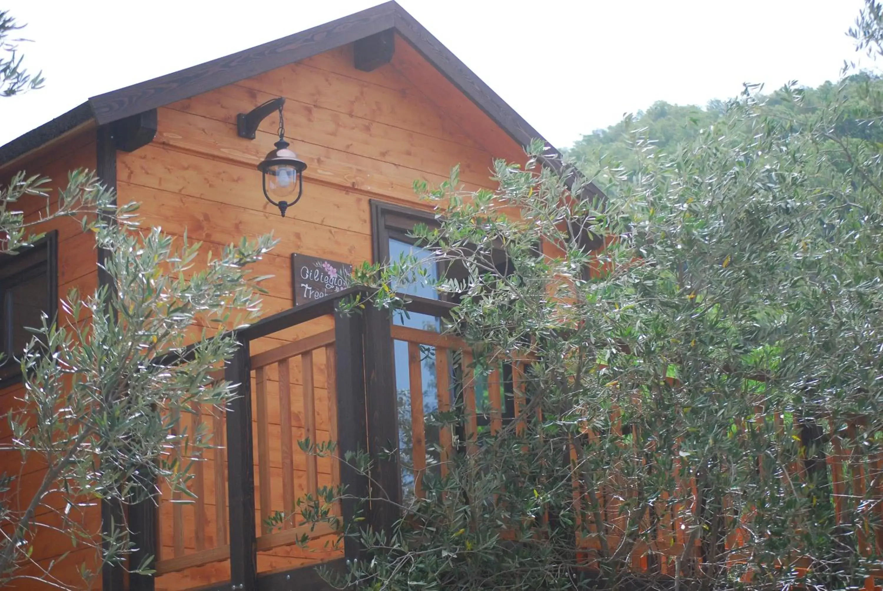 Property Building in Palazzo Conforti Tree House Resort