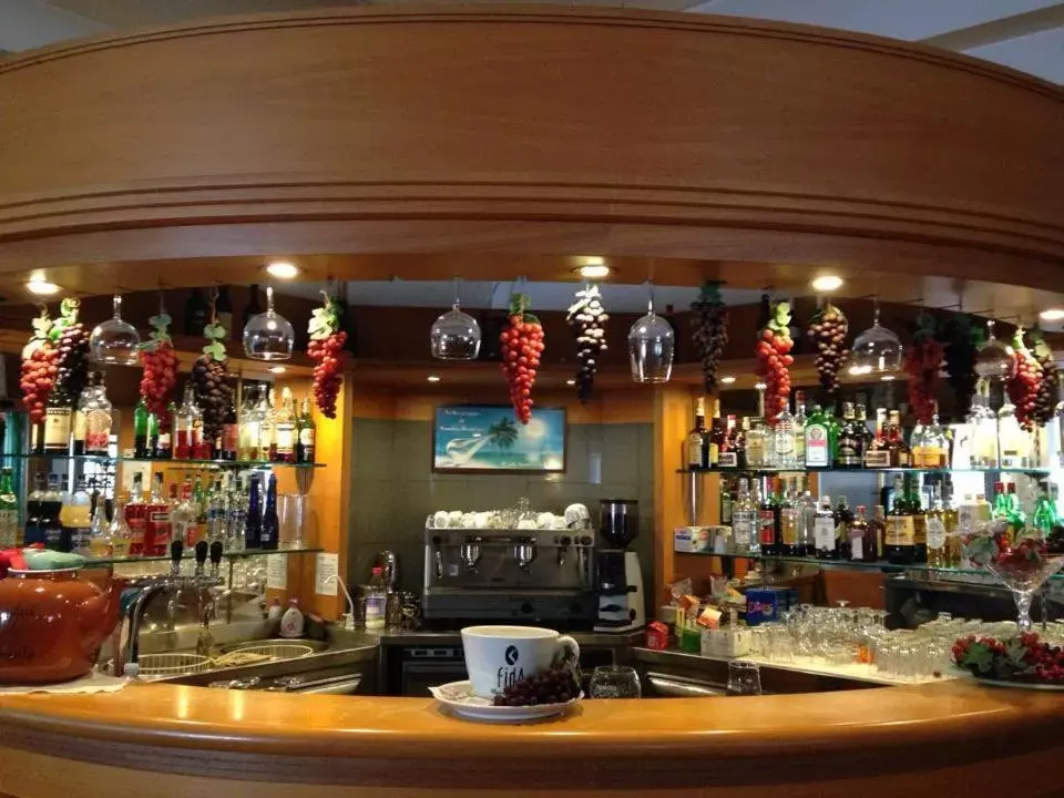 Lounge or bar, Lounge/Bar in Platani Hotel