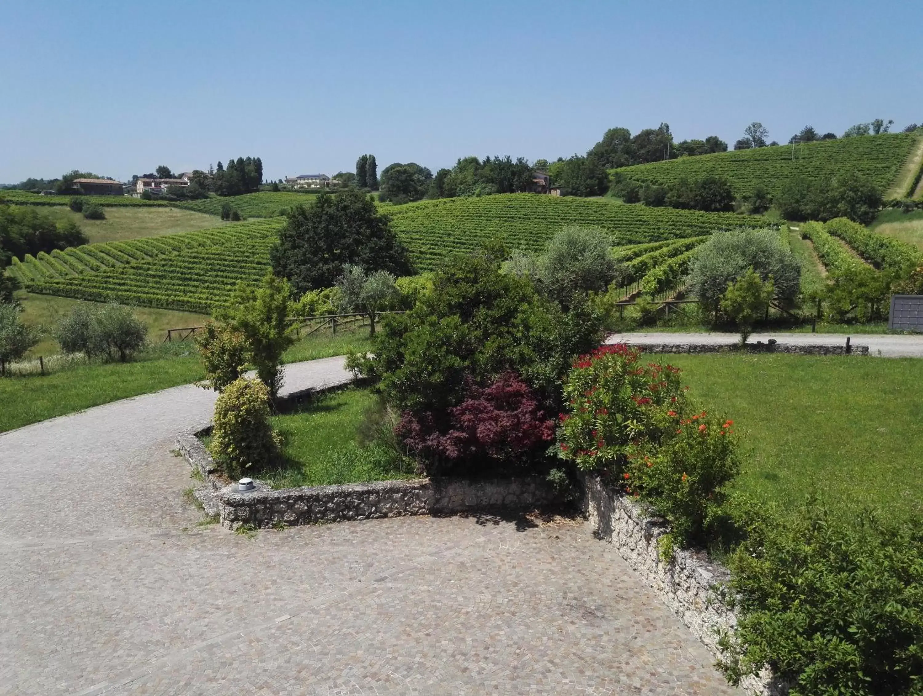 Garden view in Il giuggiolo